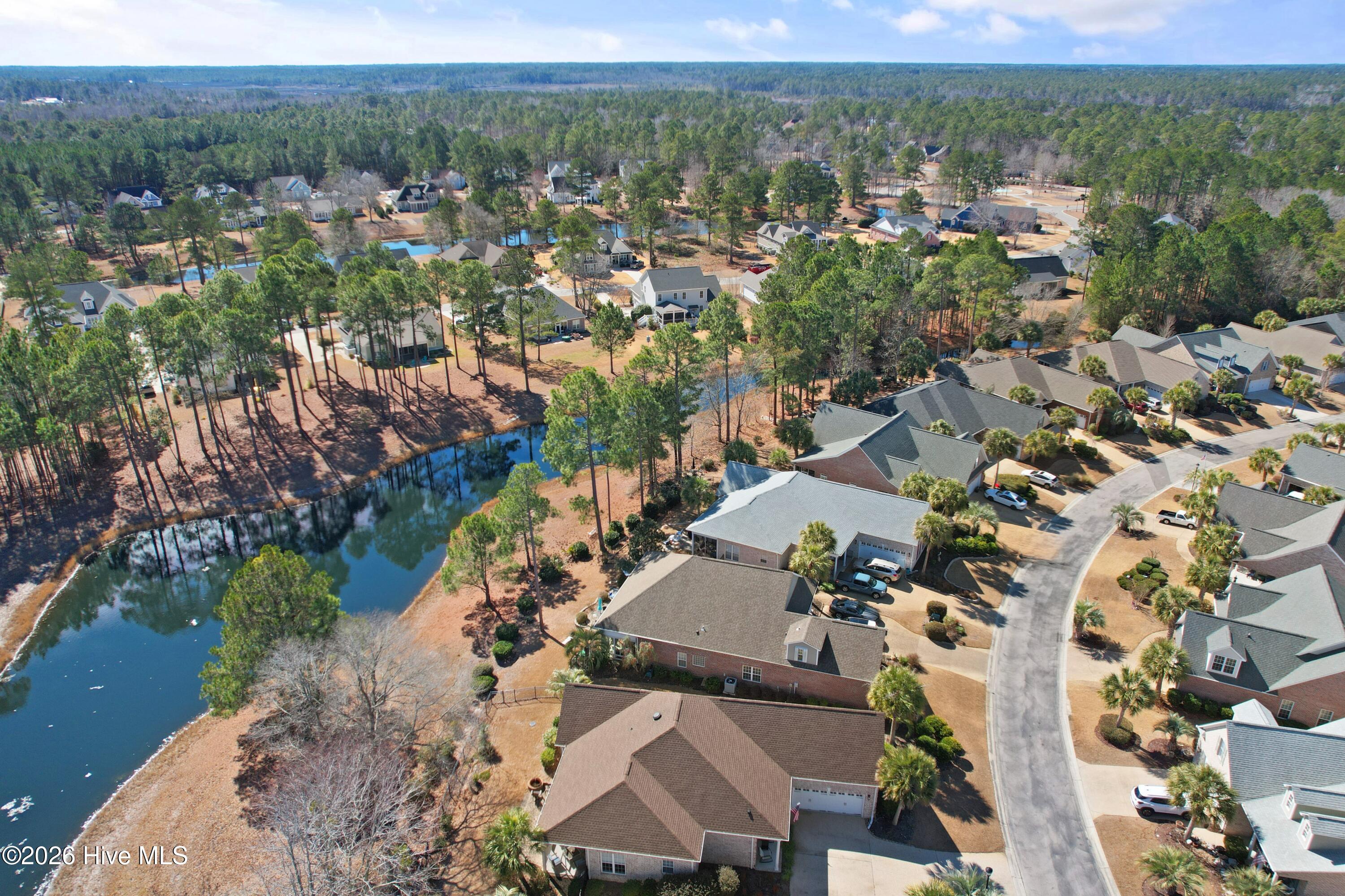 100554573 | Photo 46