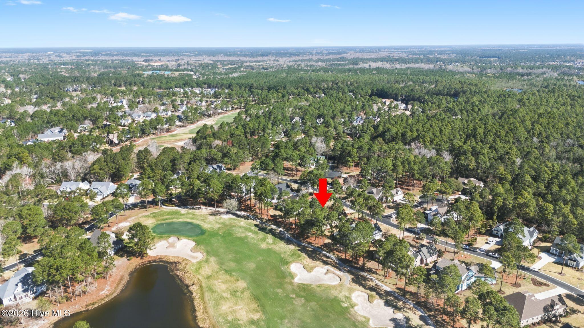 100564432 | Photo 99