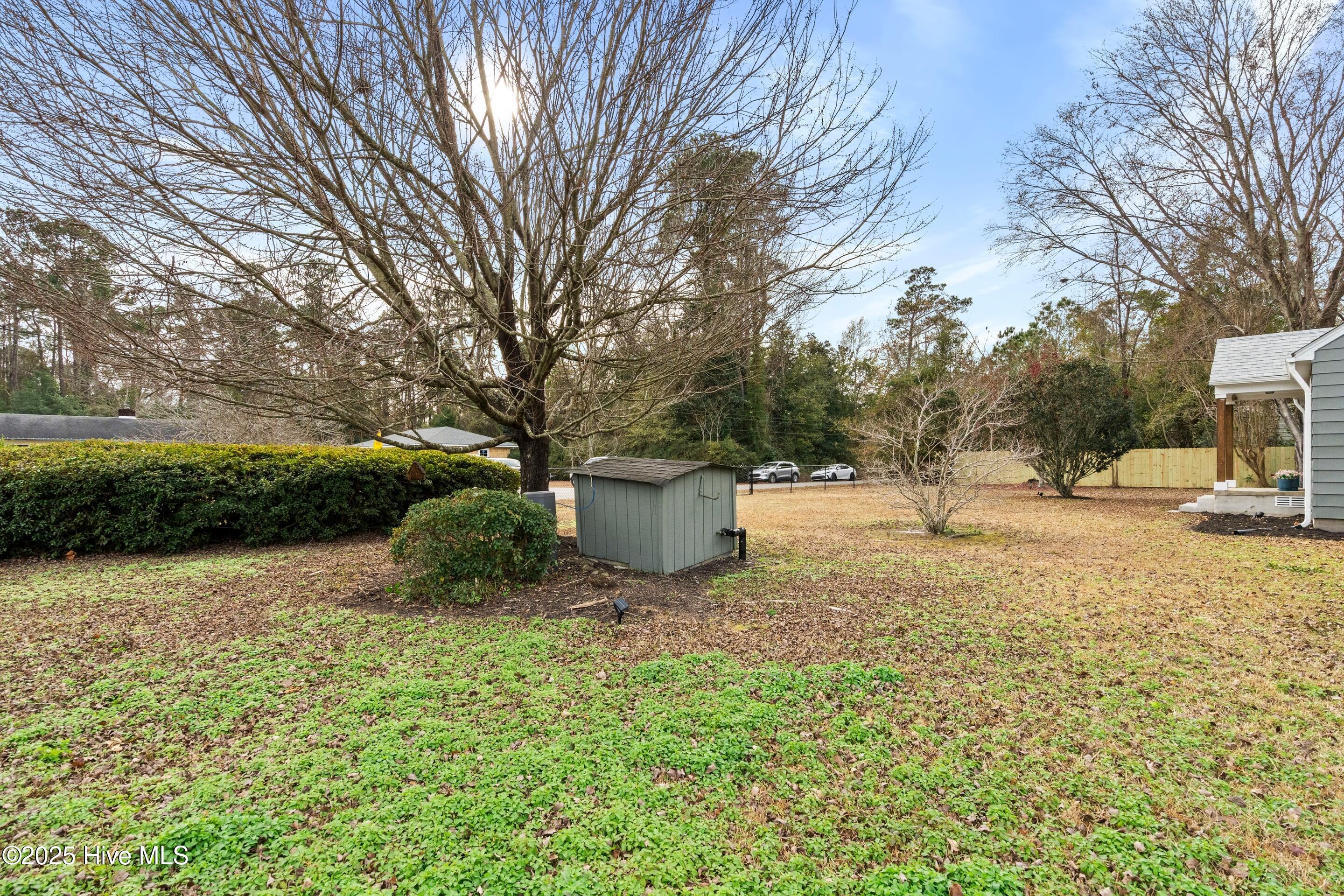 100546242 | Photo 42