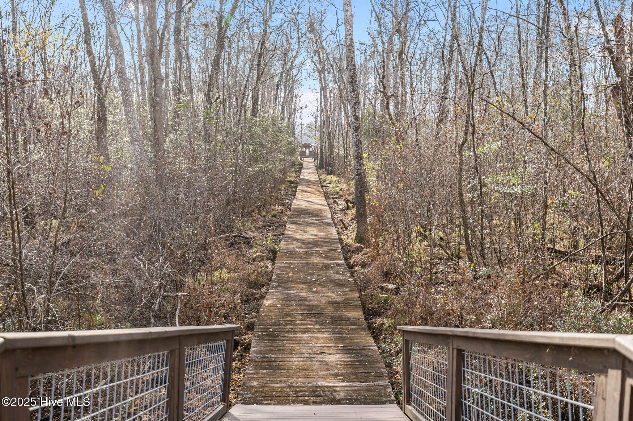 100536455 | Photo 54