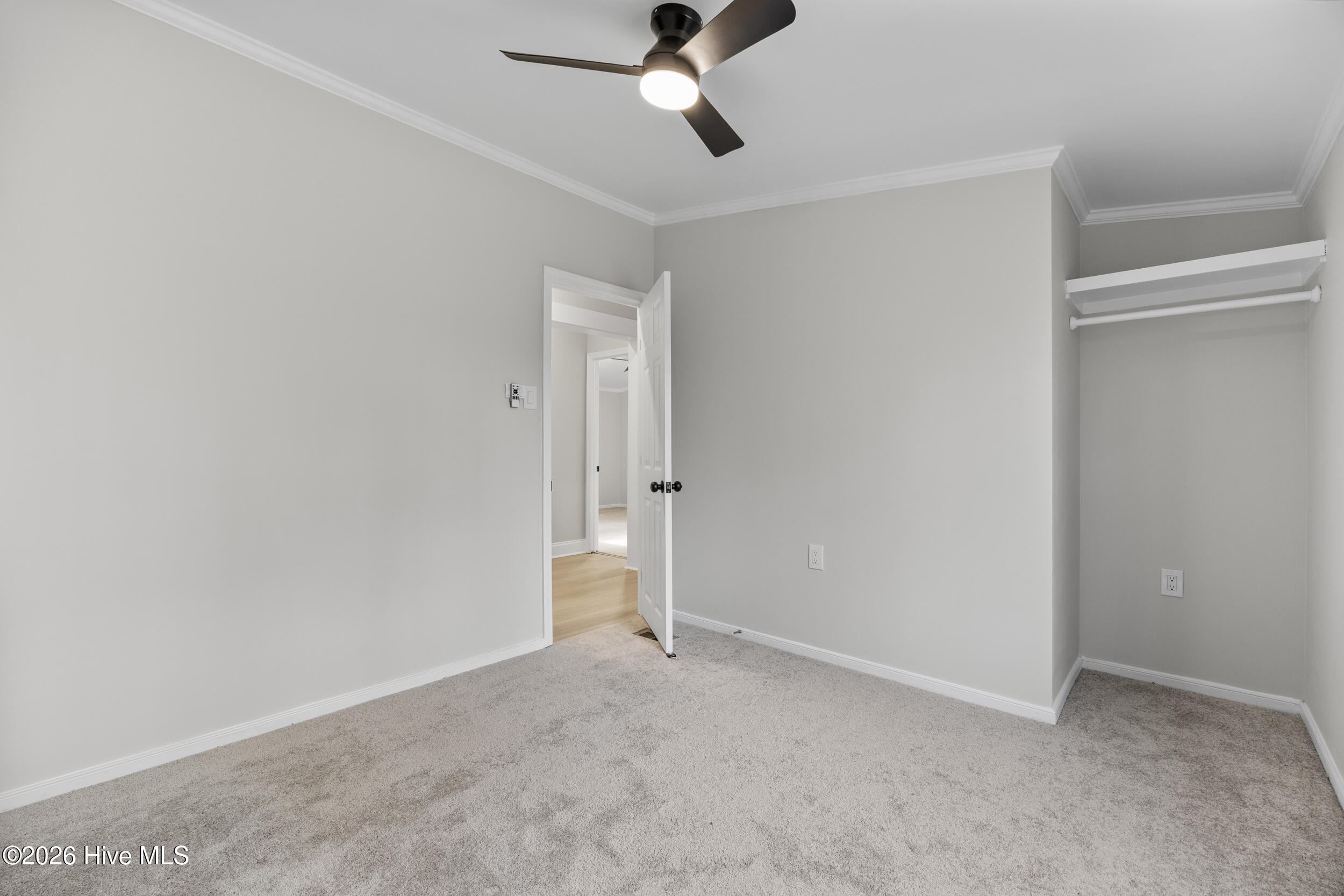 371 Harley Drive, Willard, NC 28478 – photo 24: BR2-3