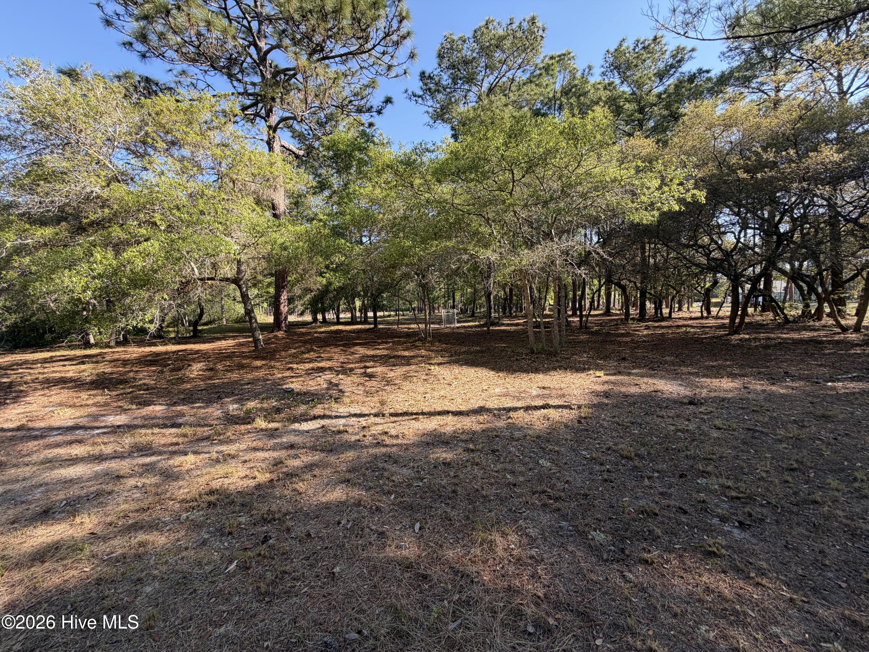 100569974 | Photo 27