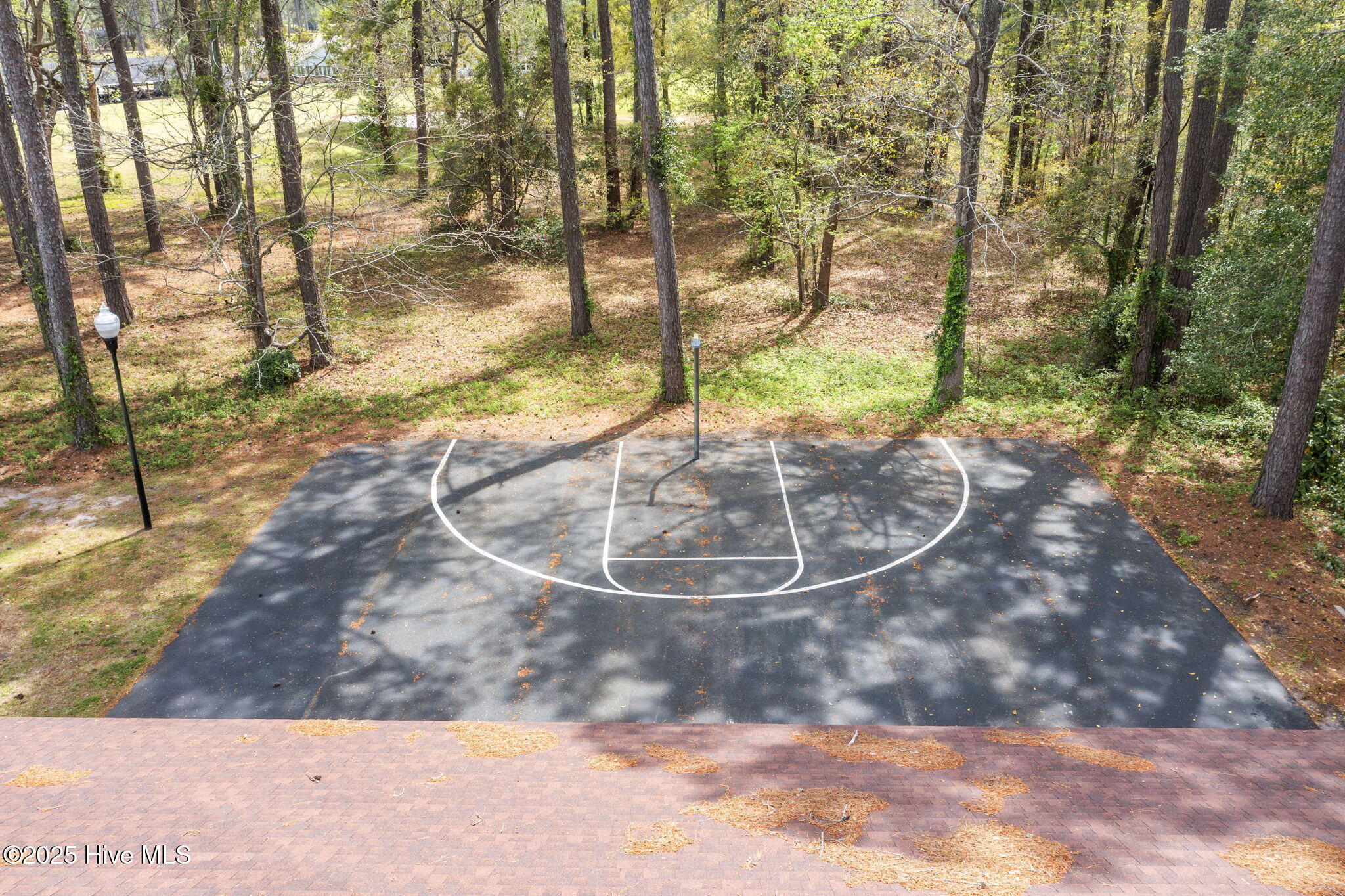 100537939 | Photo 55