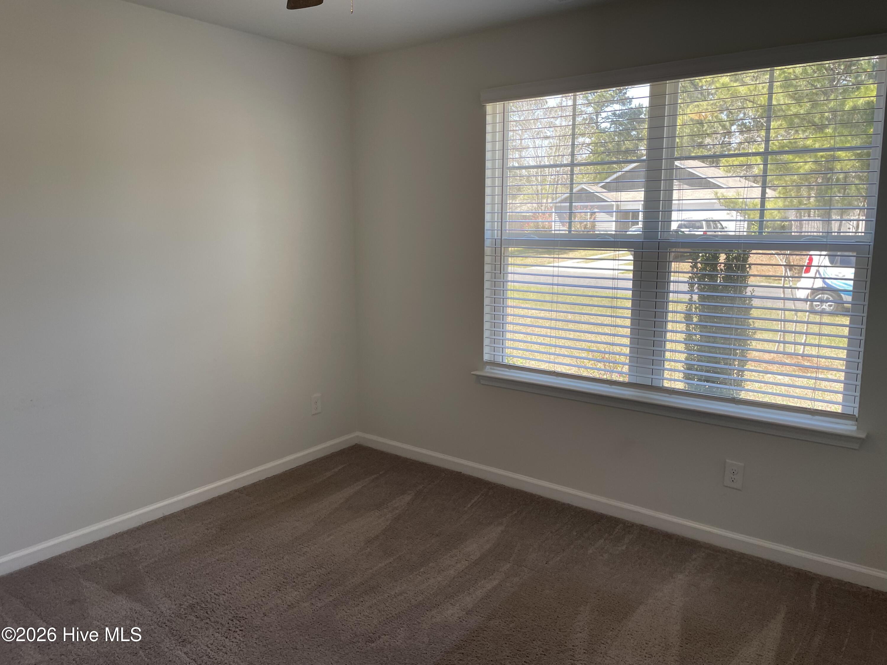 100562231 | Photo 11