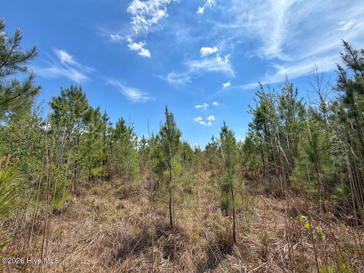 0 Guinea Mill Road, Ernul, NC, 28527