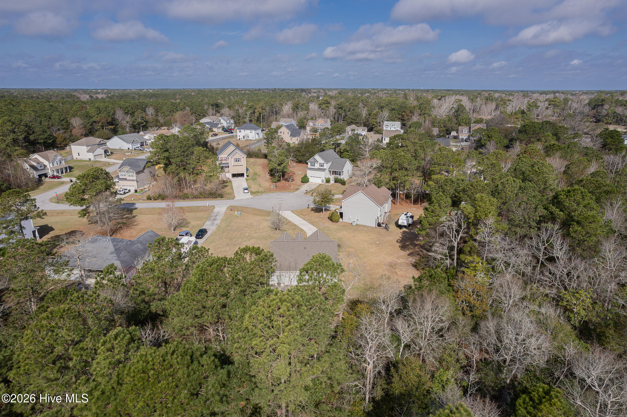 100560895 | Photo 12