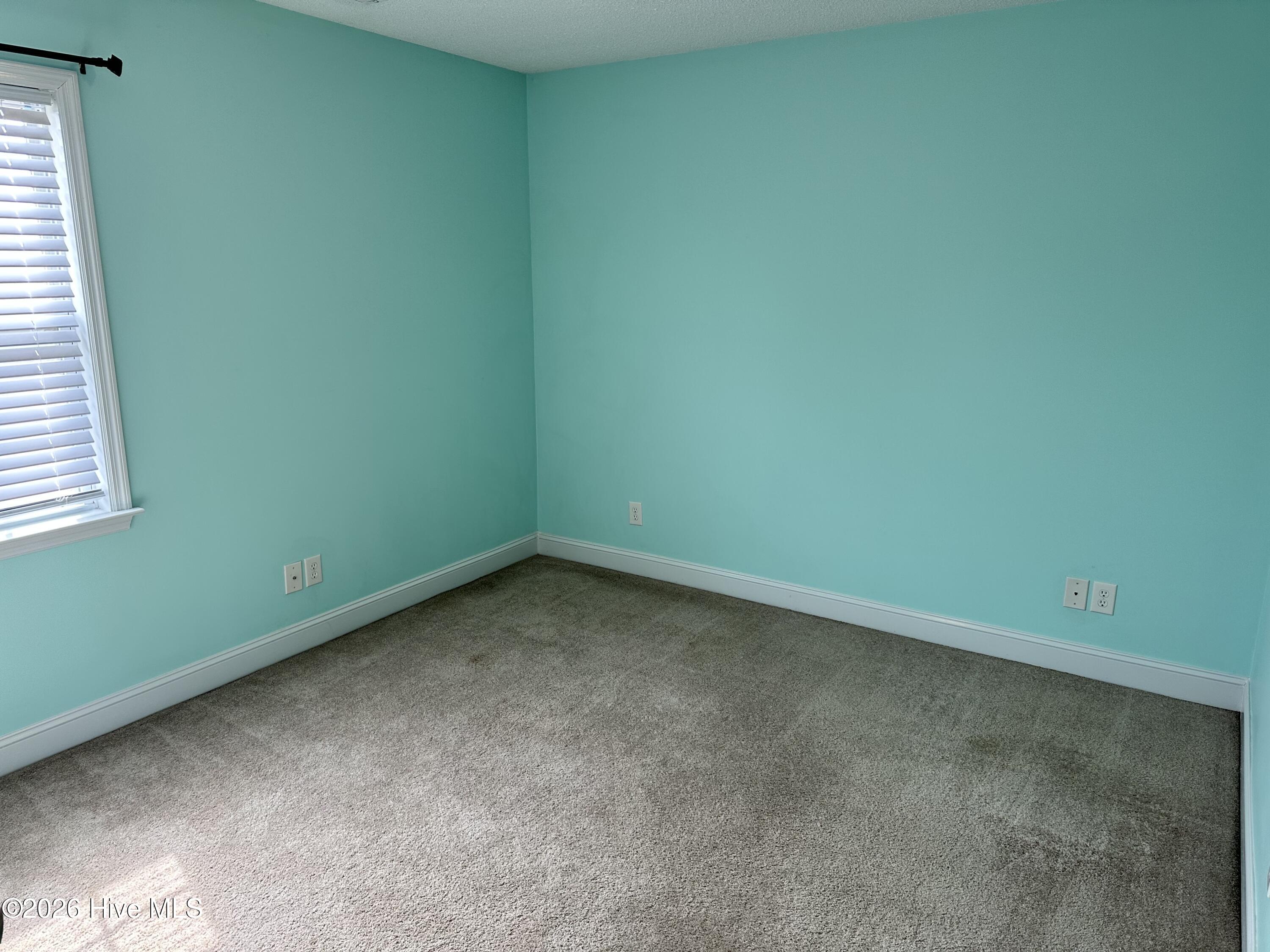 100556264 | Photo 23