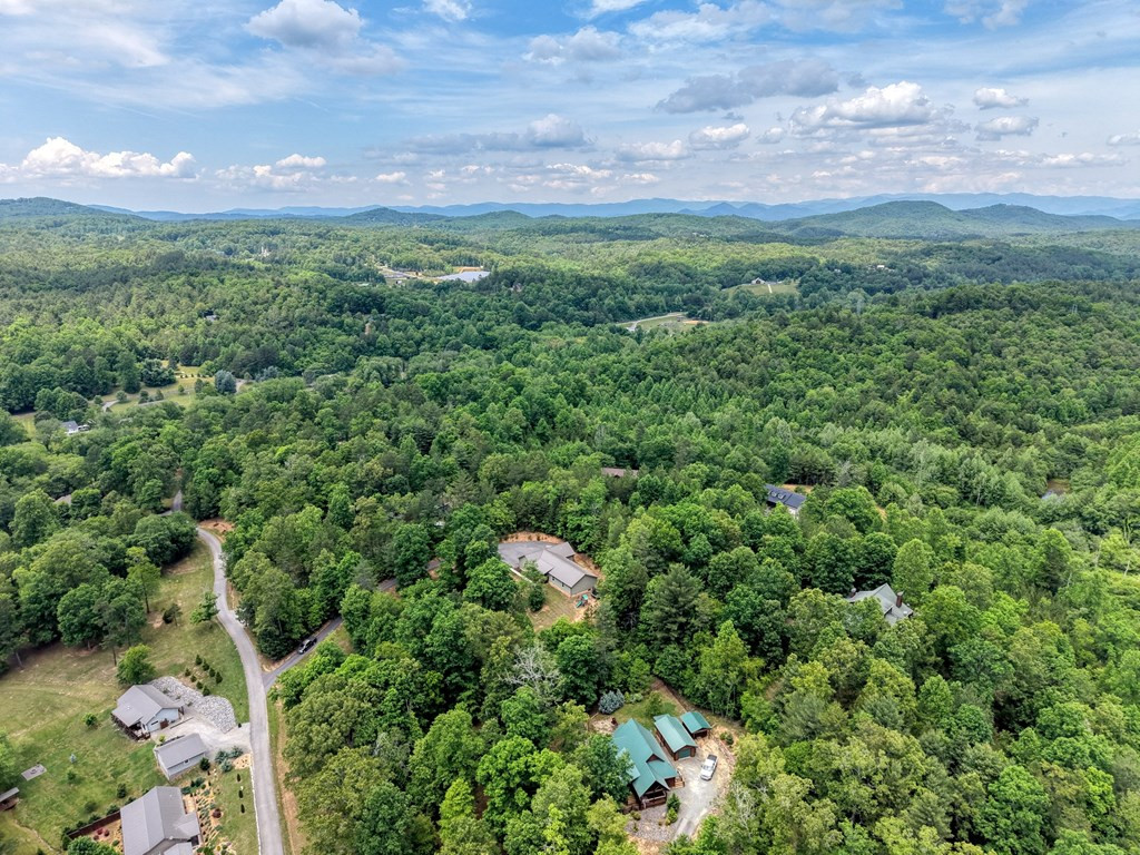 290 Butterball Boulevard, Murphy, NC 28906 Listing Photo  47