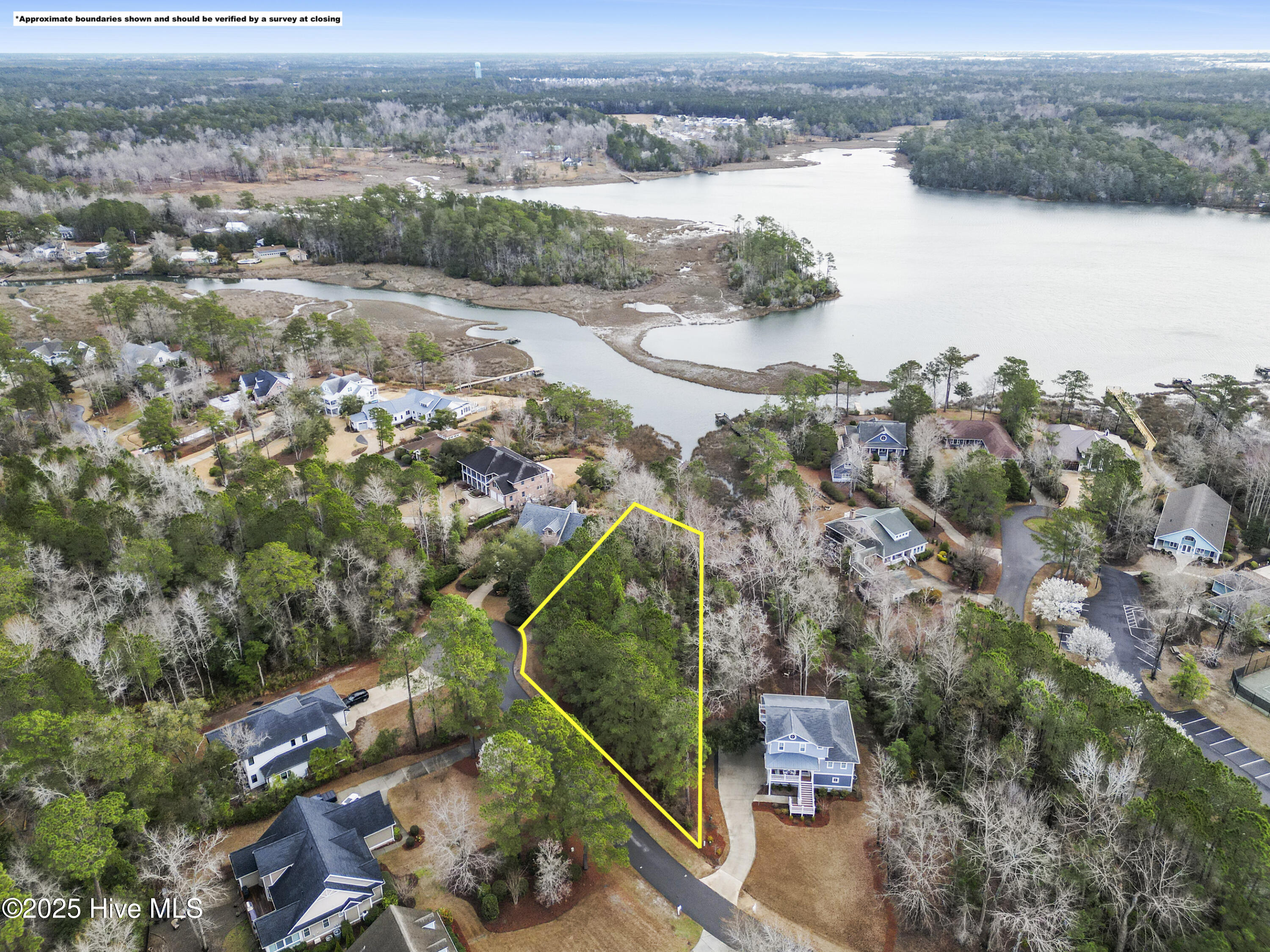 100494570 | Photo 10