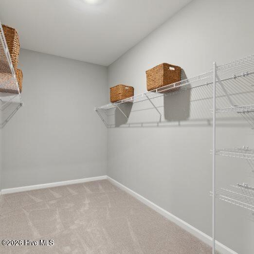 100555909 | Photo 14