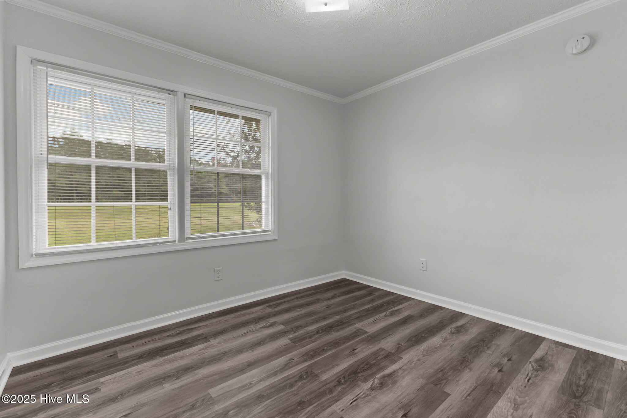 100526515 | Photo 12