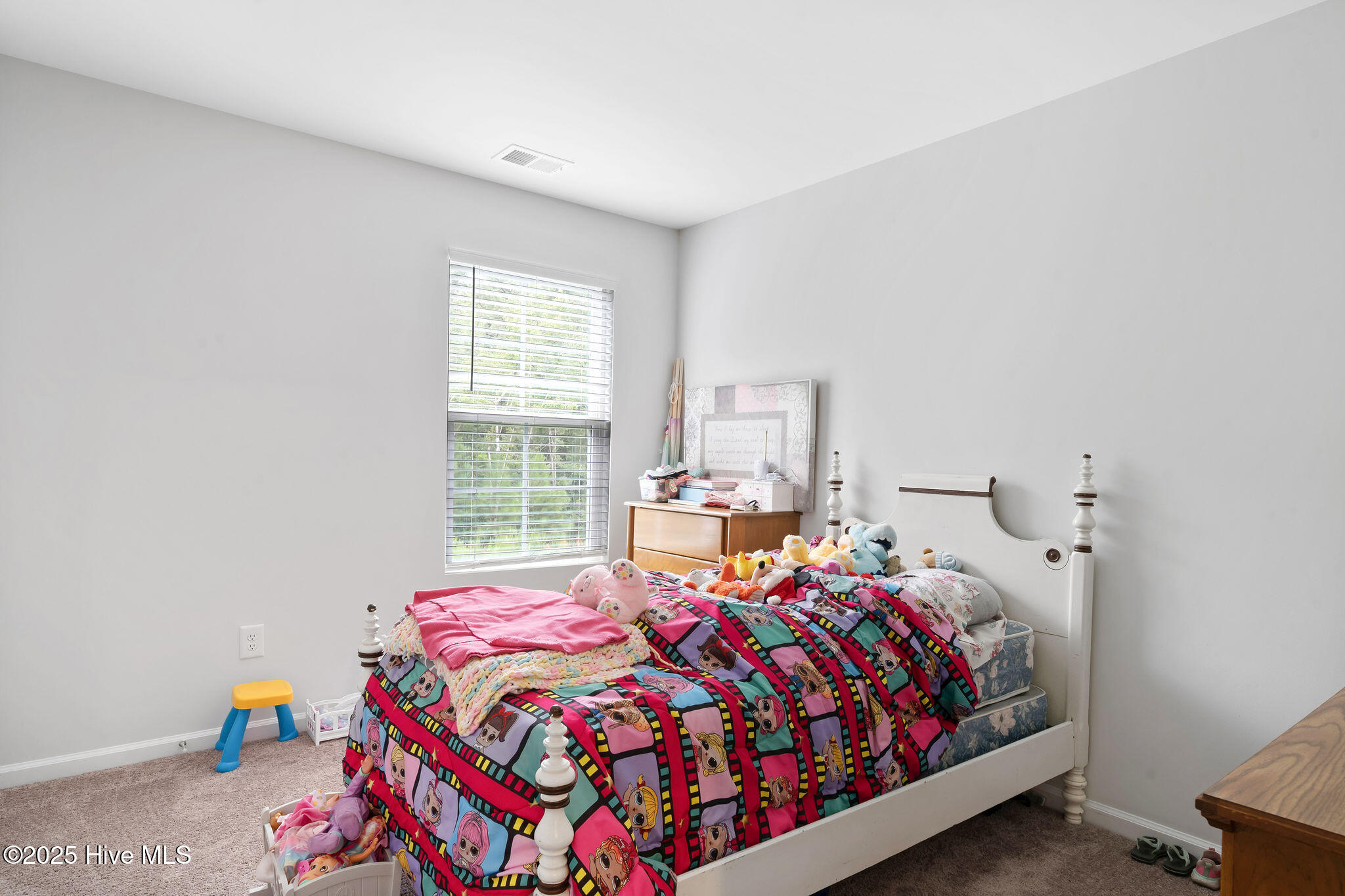 100534531 | Photo 25