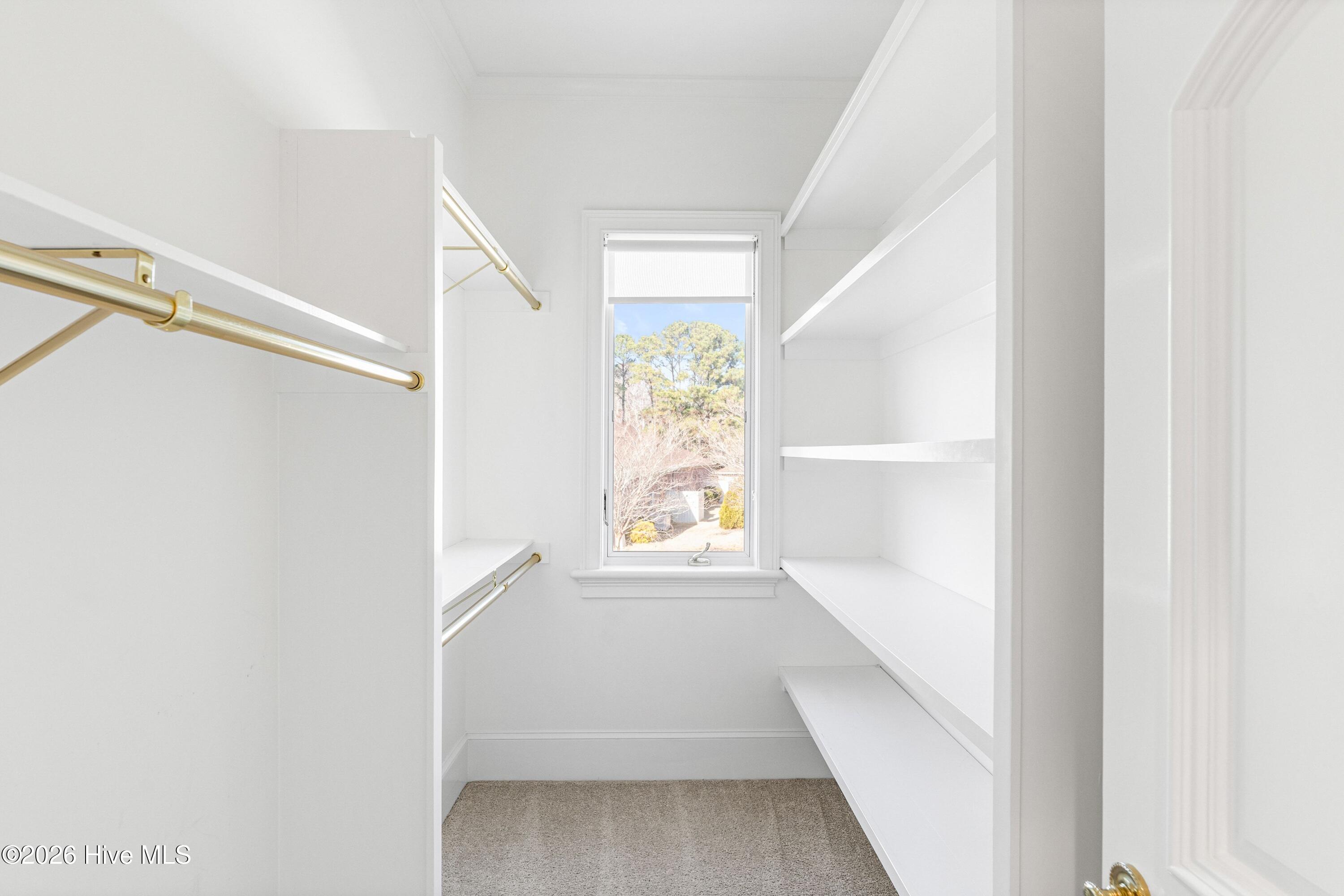 100557099 | Photo 40