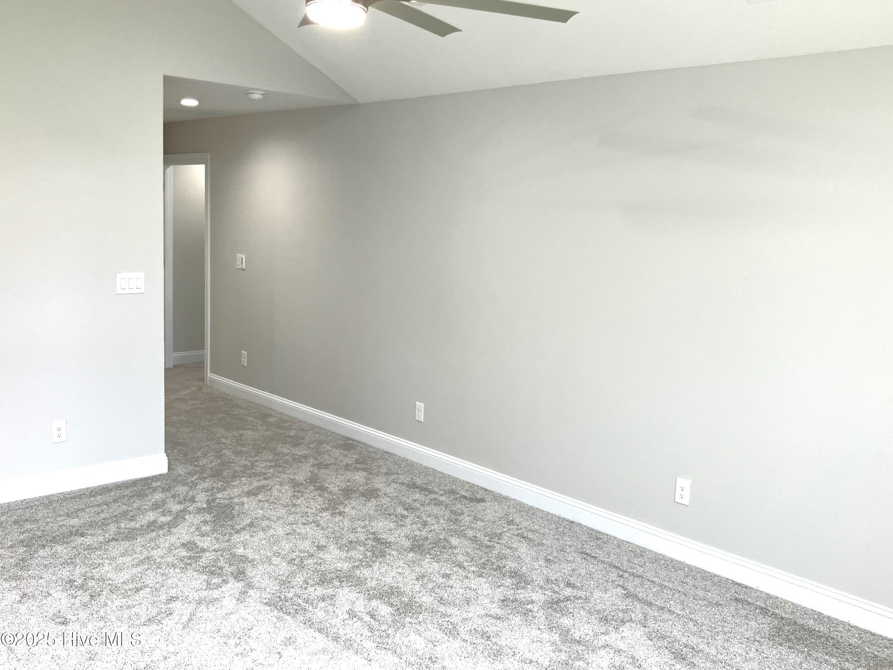 100514031 | Photo 22