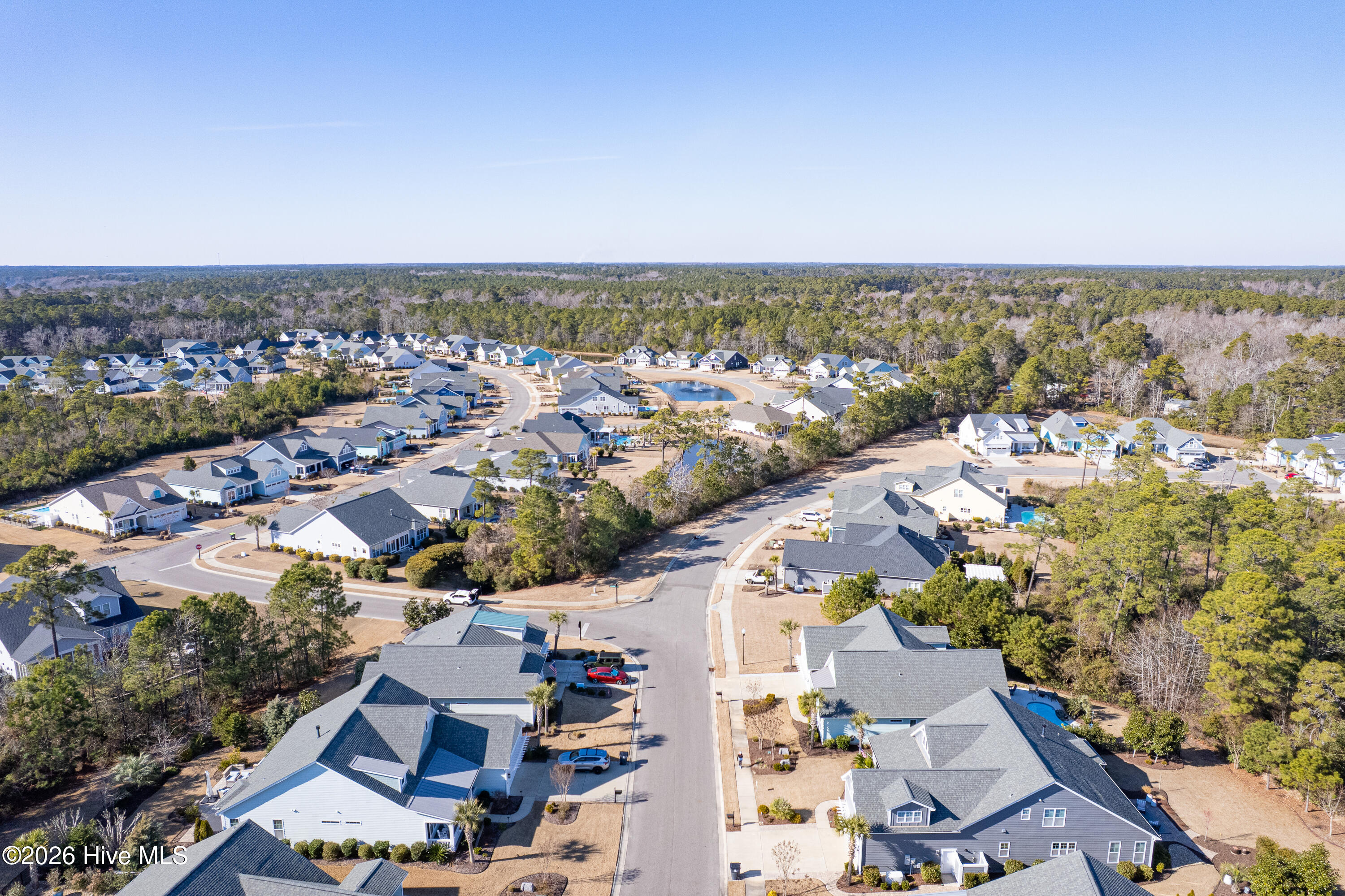 100551306 | Photo 71