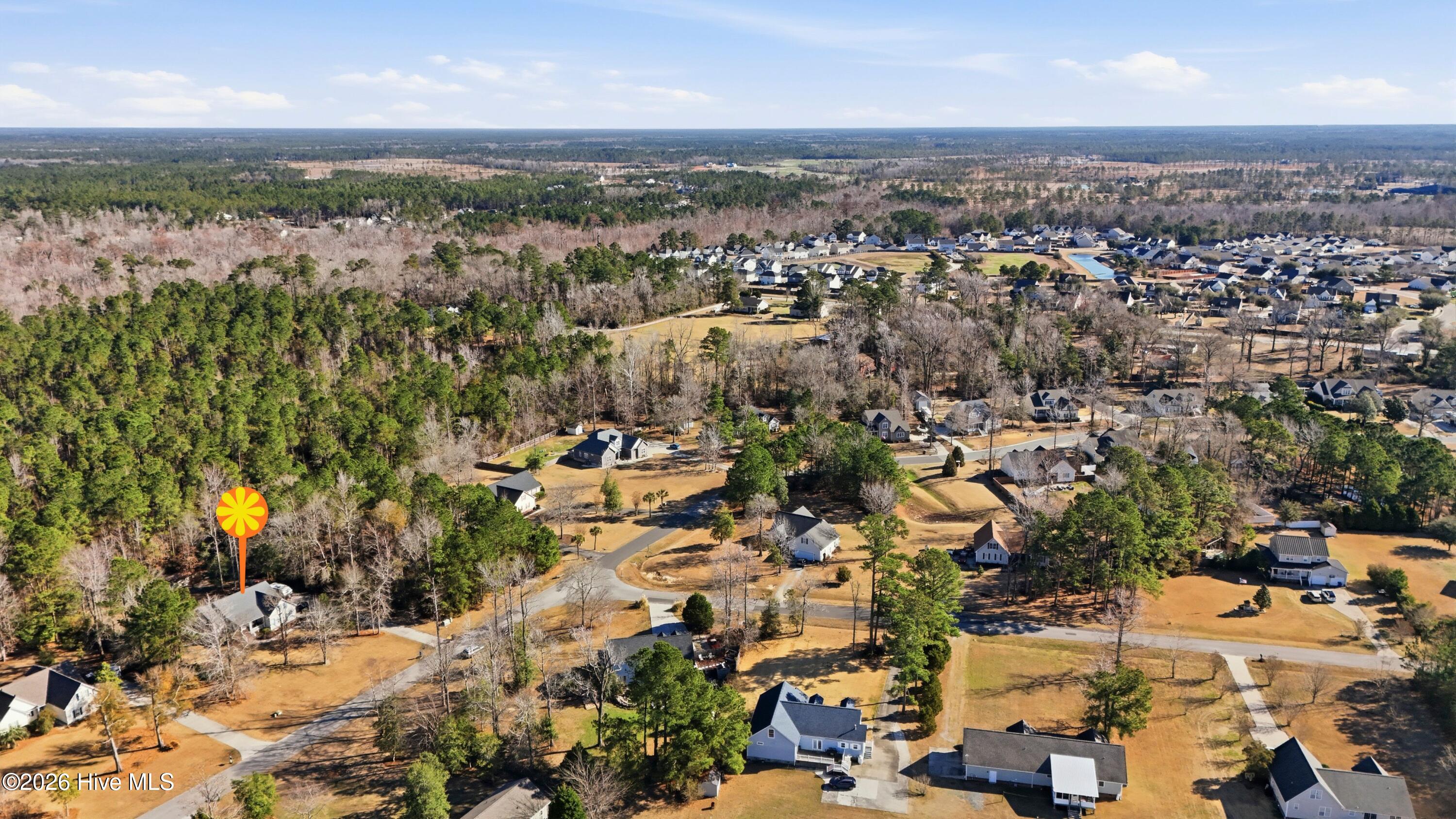 100562137 | Photo 34