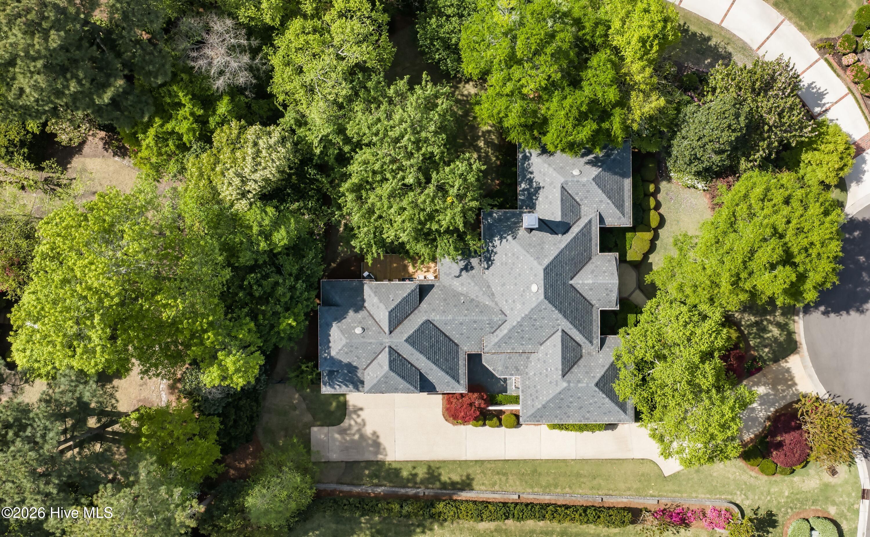 100566013 | Photo 50