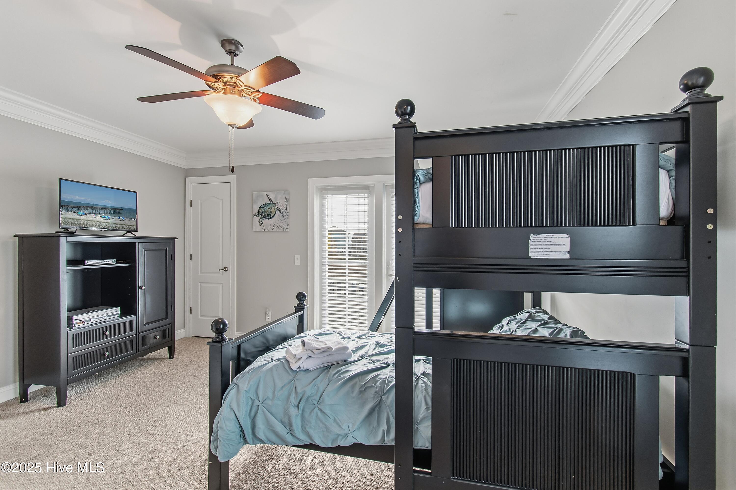 100541969 | Photo 38