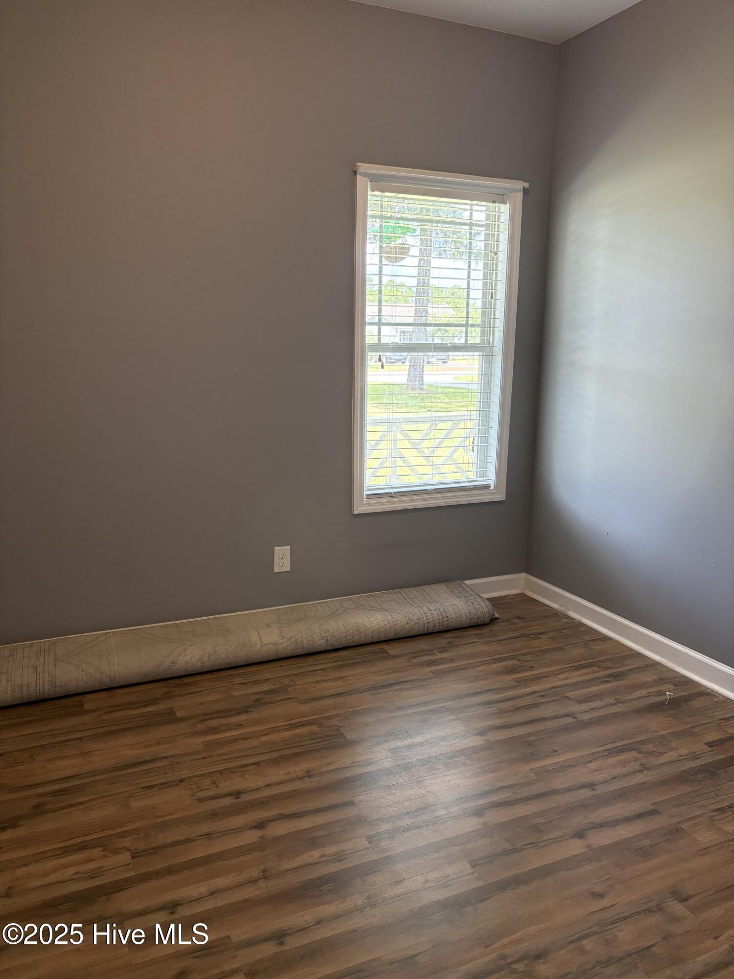 117 Boysenberry Fields Road, Maple Hill, NC, 28454