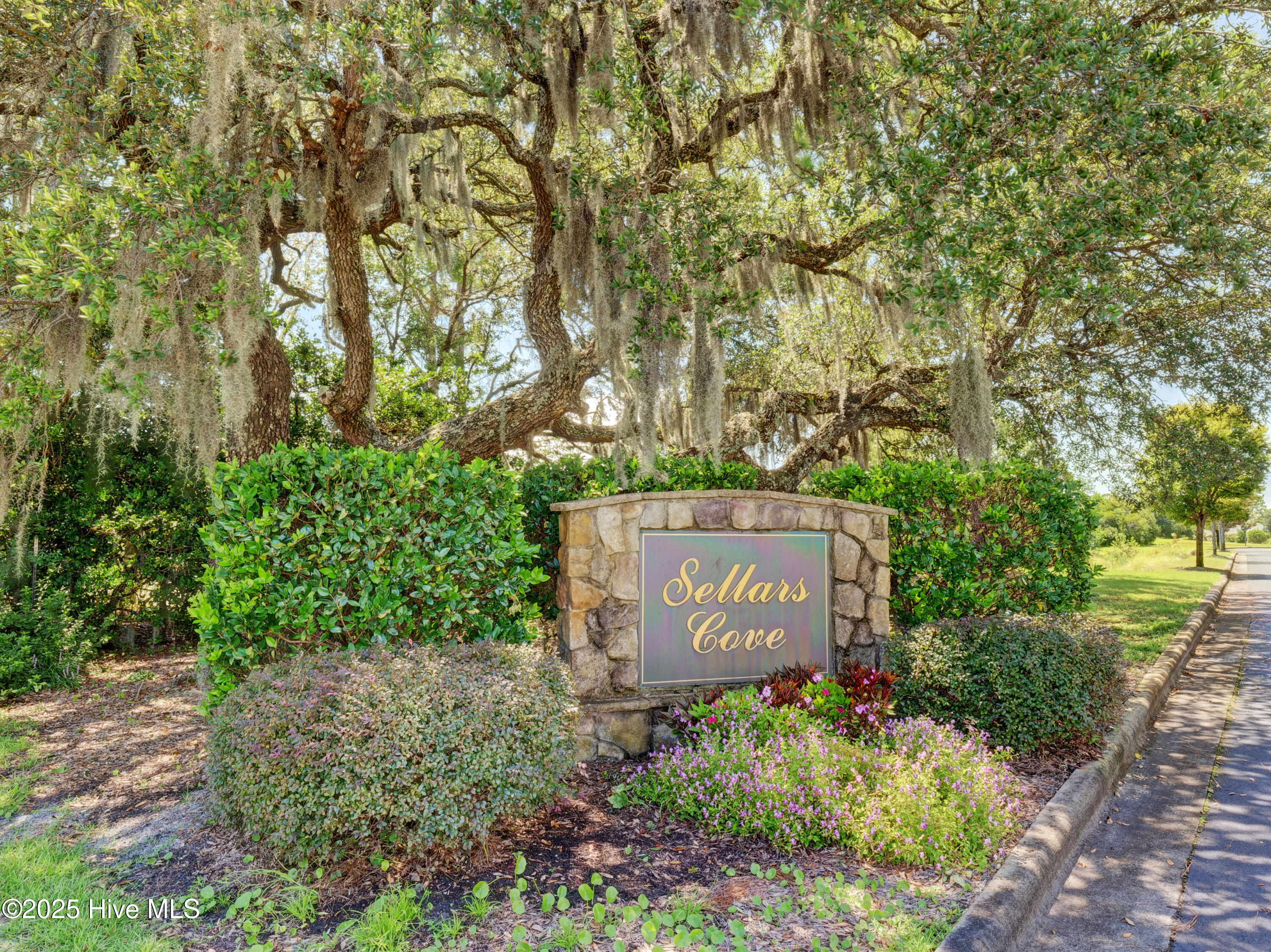 100521758 | Photo 24