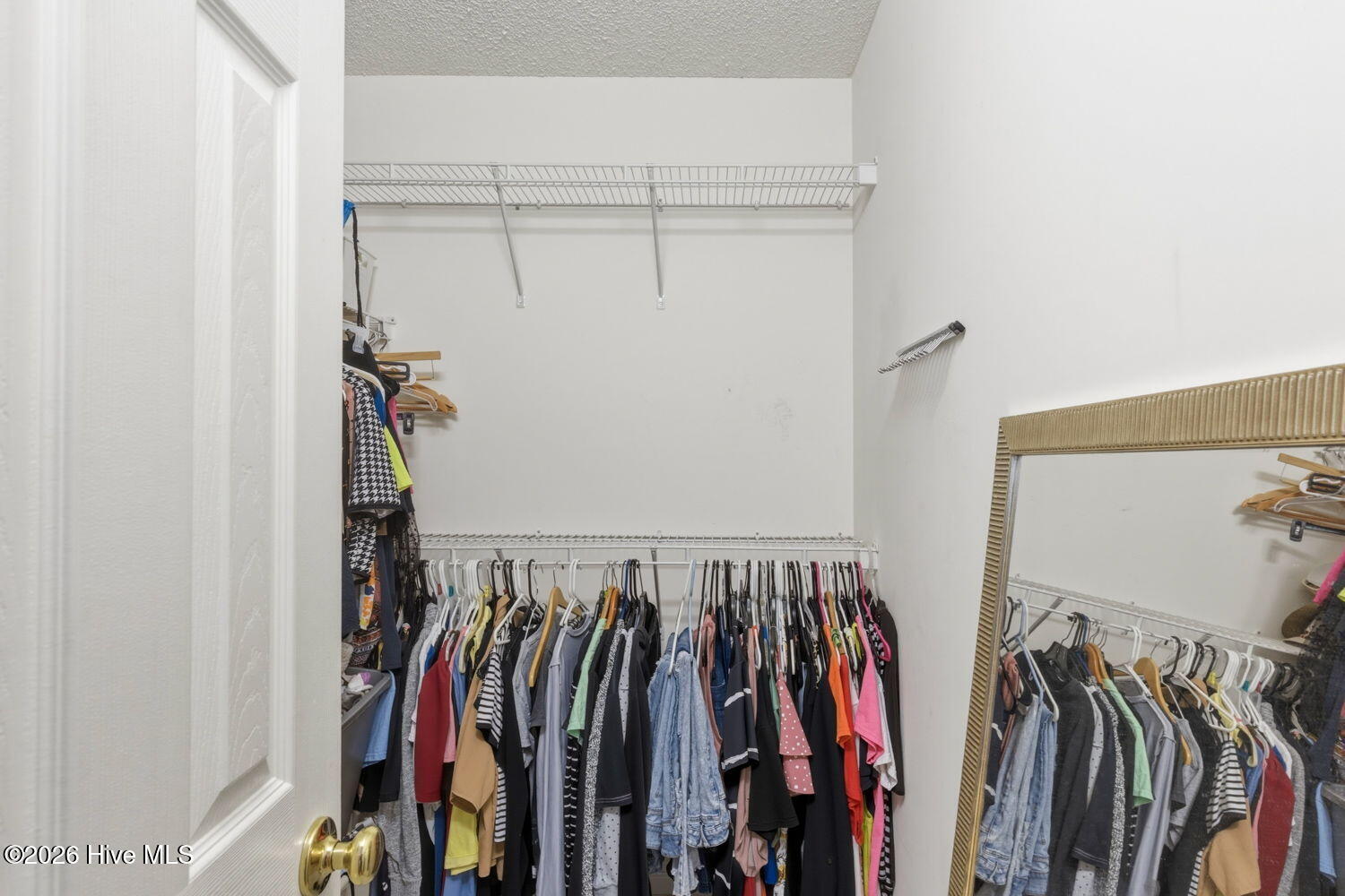 100554974 | Photo 15