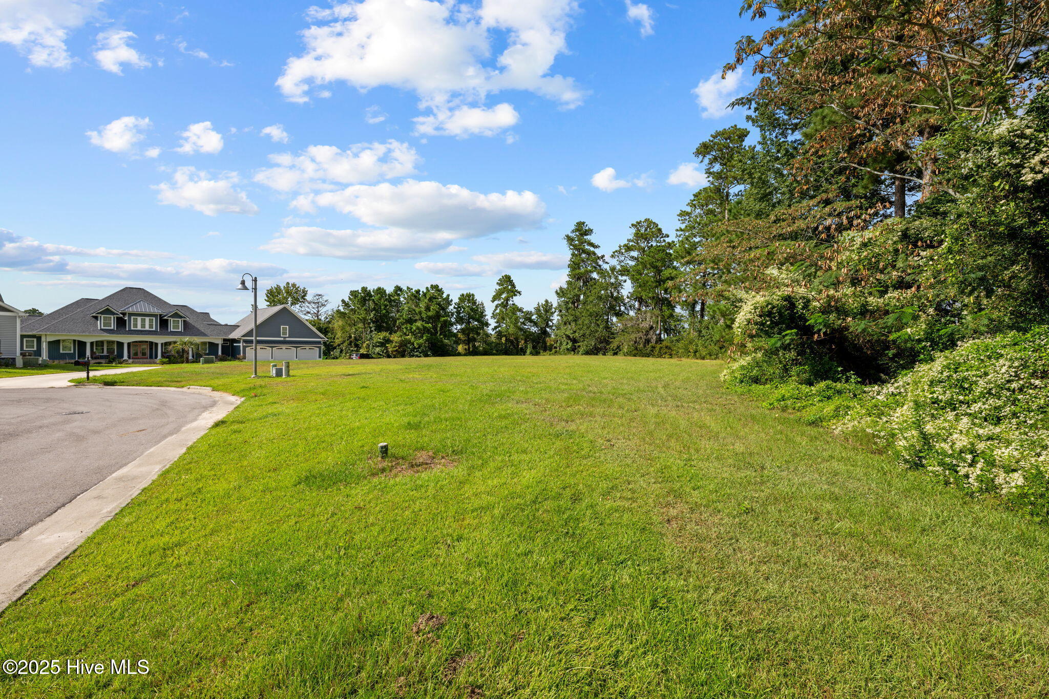 Street view of lot 43. Tree lot.