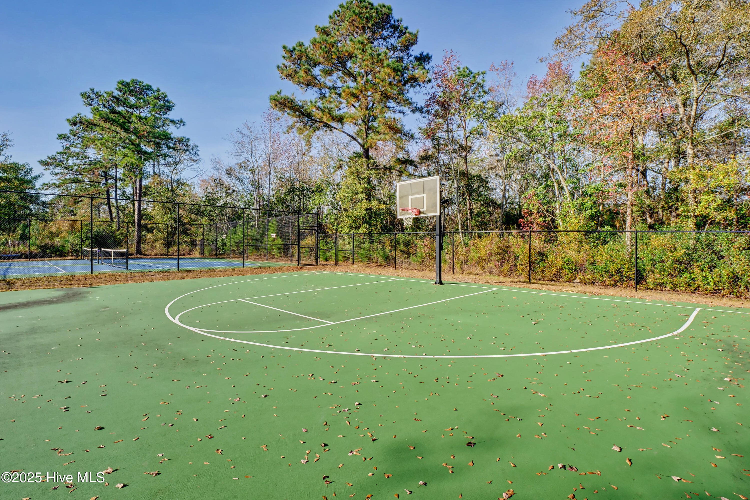 100534393 | Photo 98