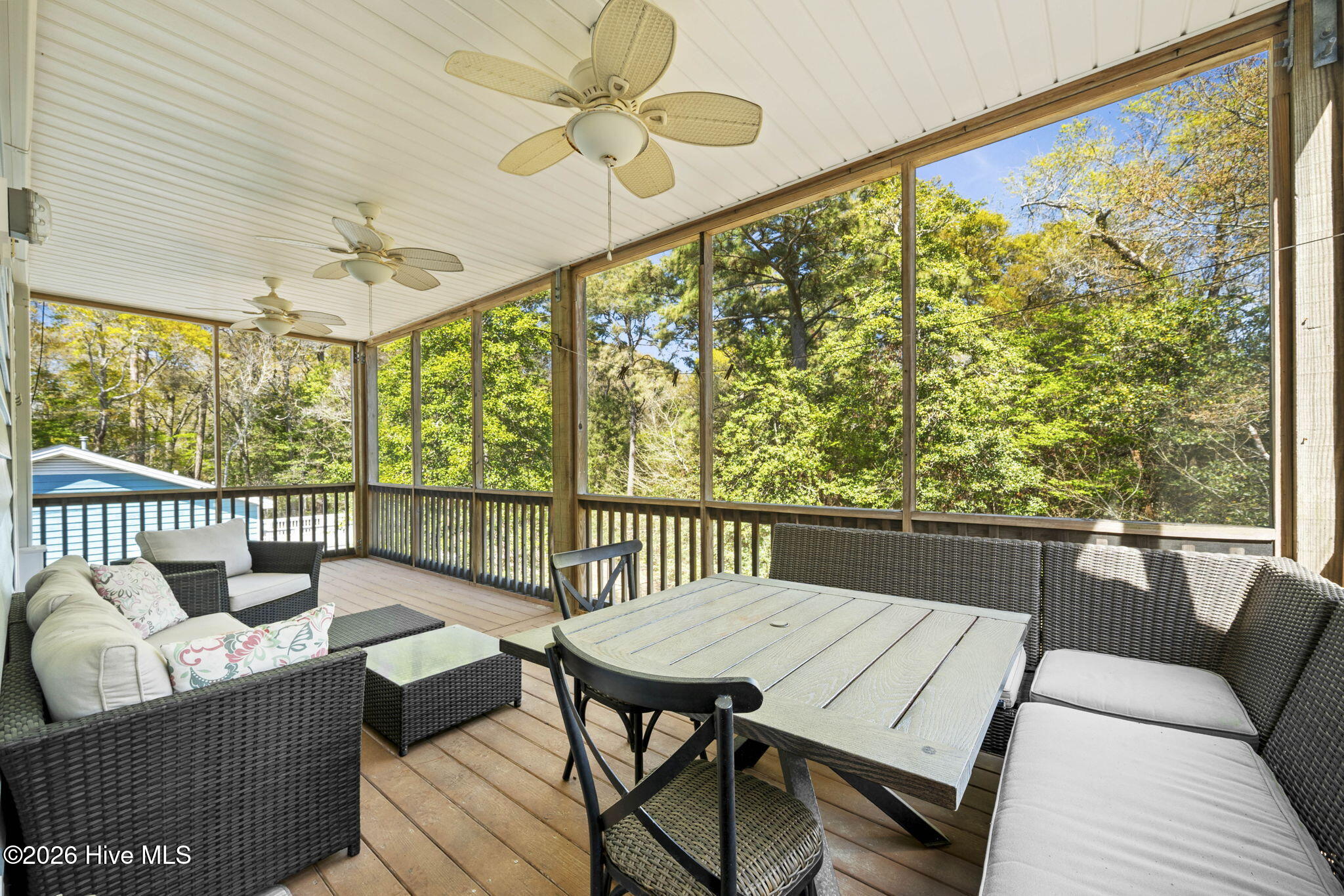 100565691 | Photo 40