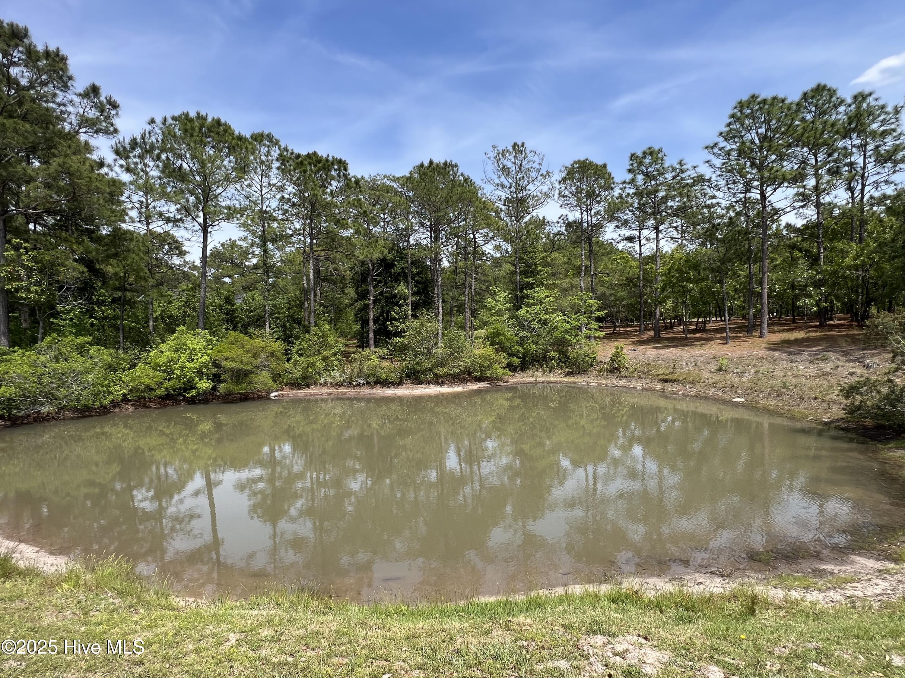 100506027 | Photo 20