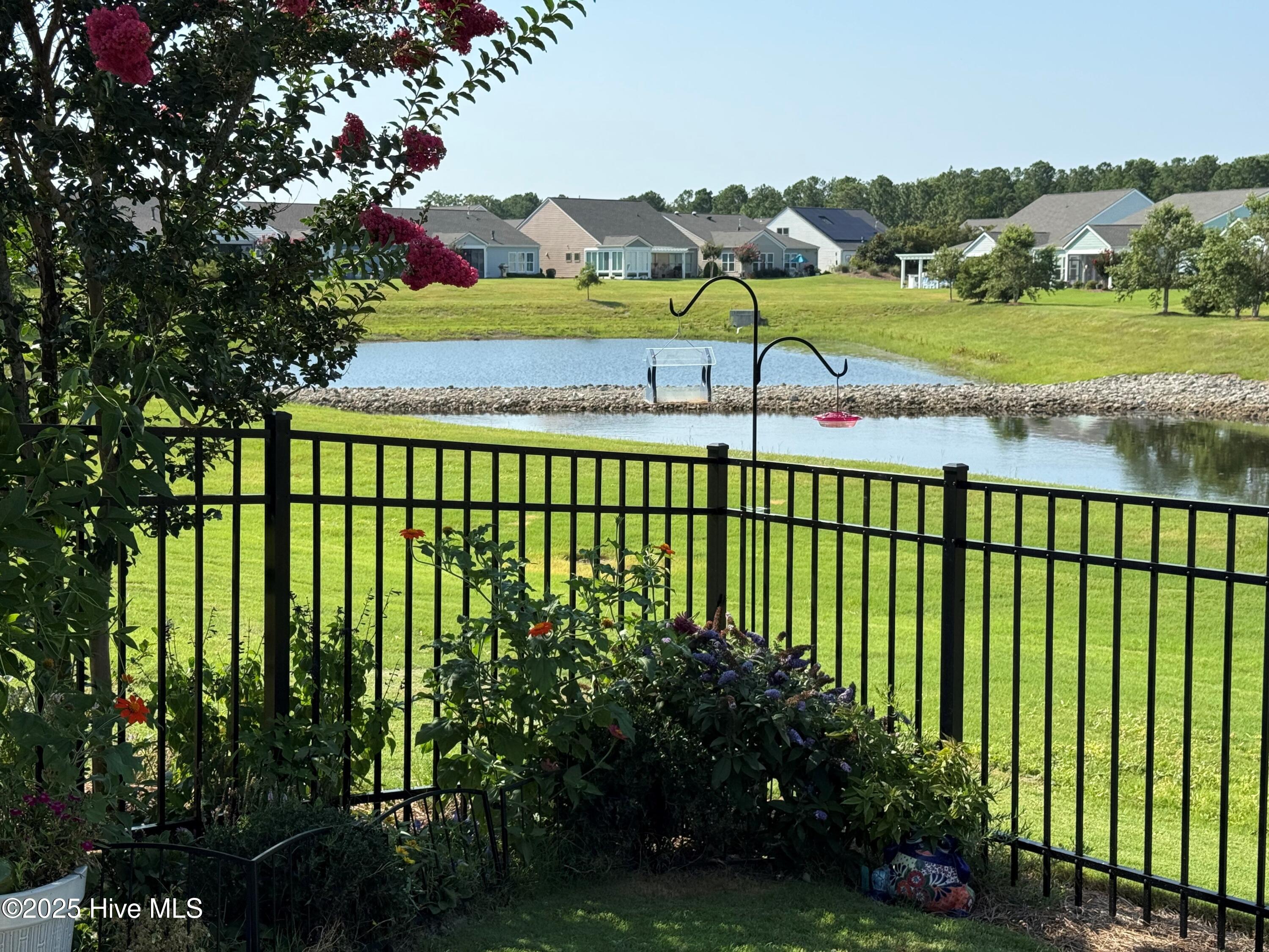 100515849 | Photo 32