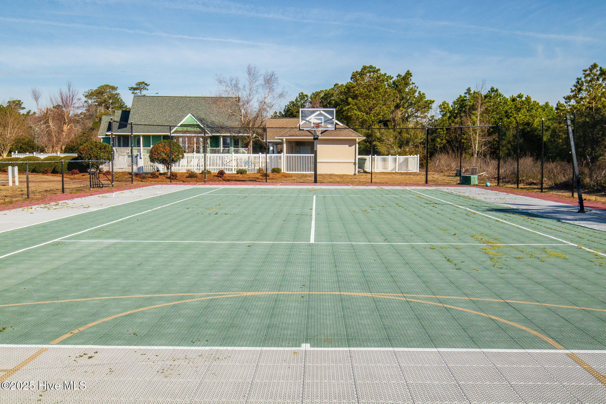 100556100 | Photo 28