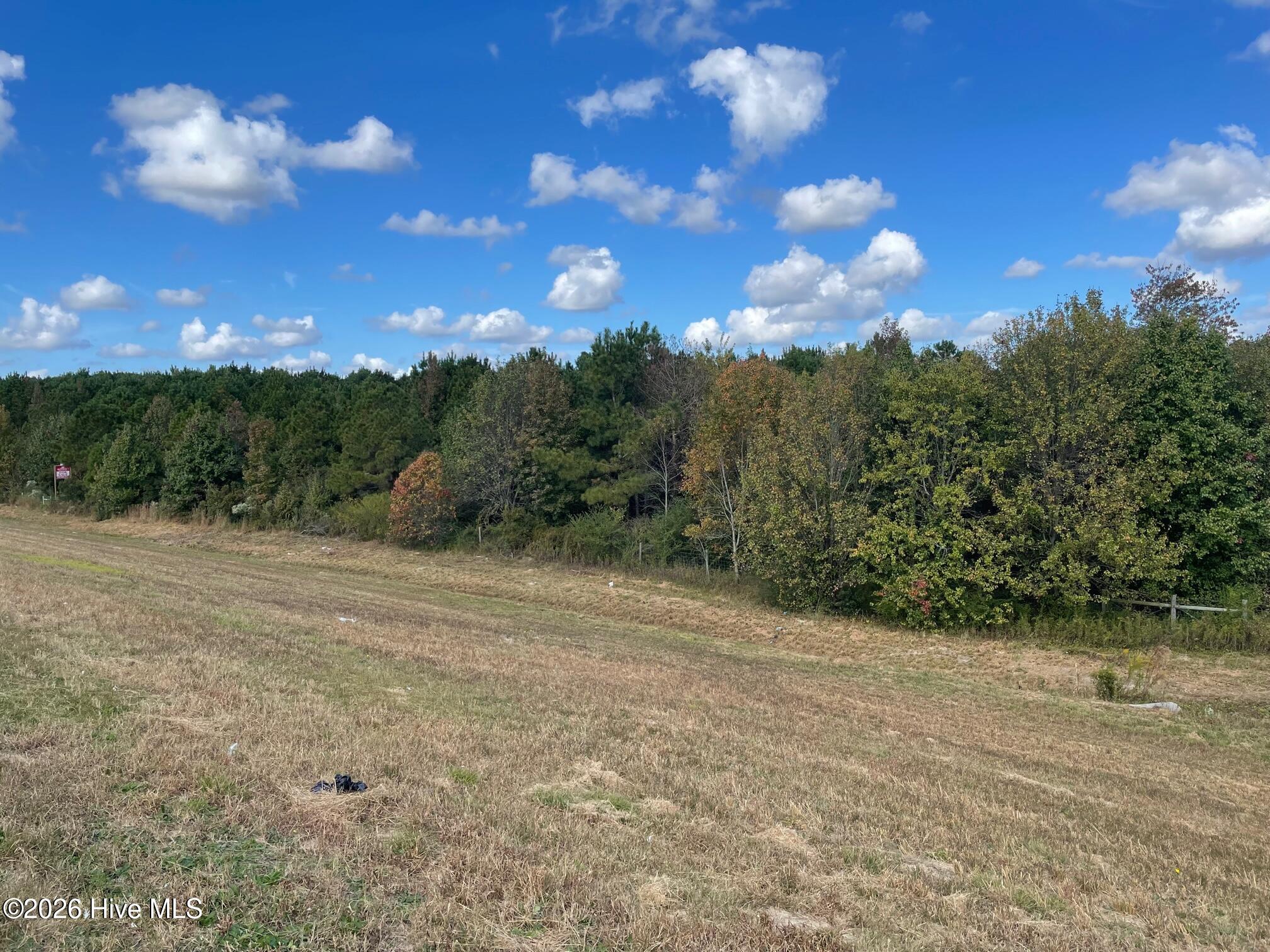 4th image of 1C Dunn Road Ext, Roseboro, NC 28382 | MLS# 100590536