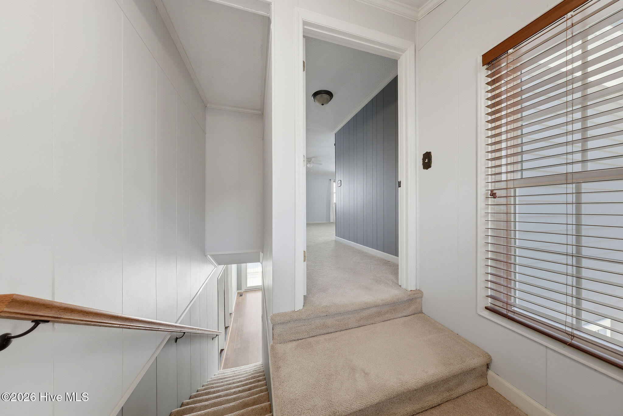 100557788 | Photo 26