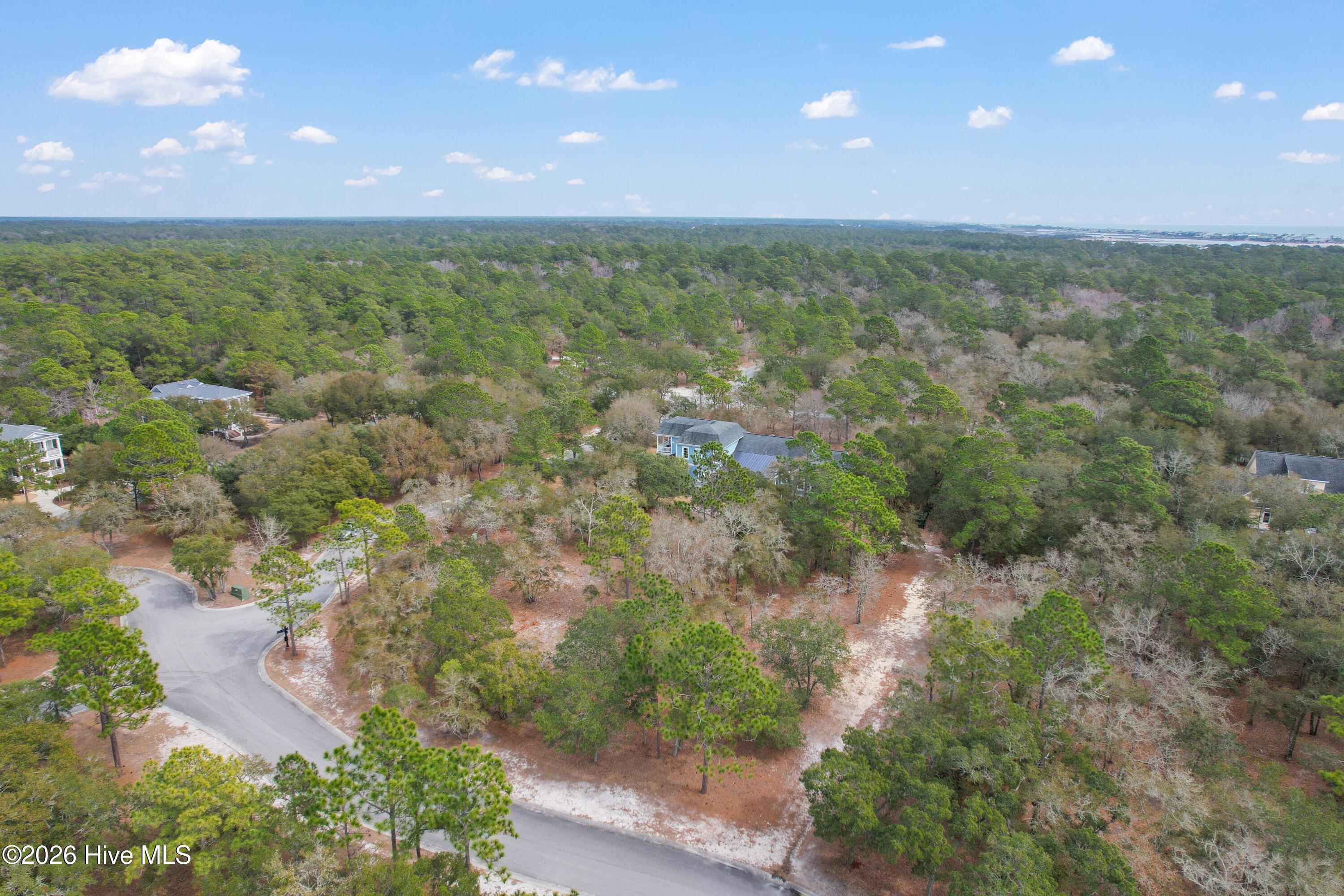 100548259 | Photo 18