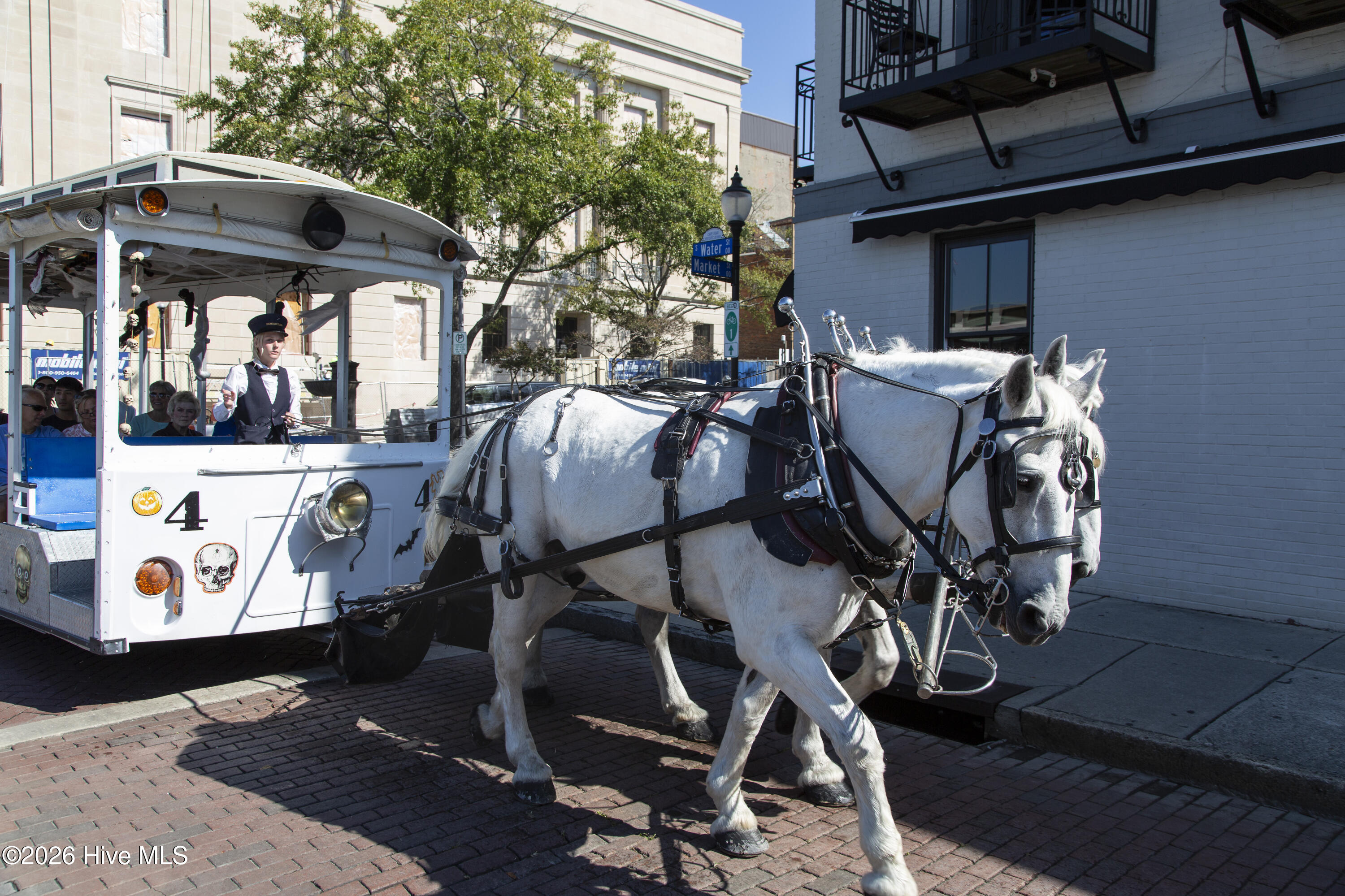 100555929 | Photo 43