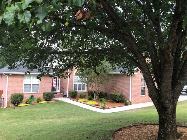 Front Tree