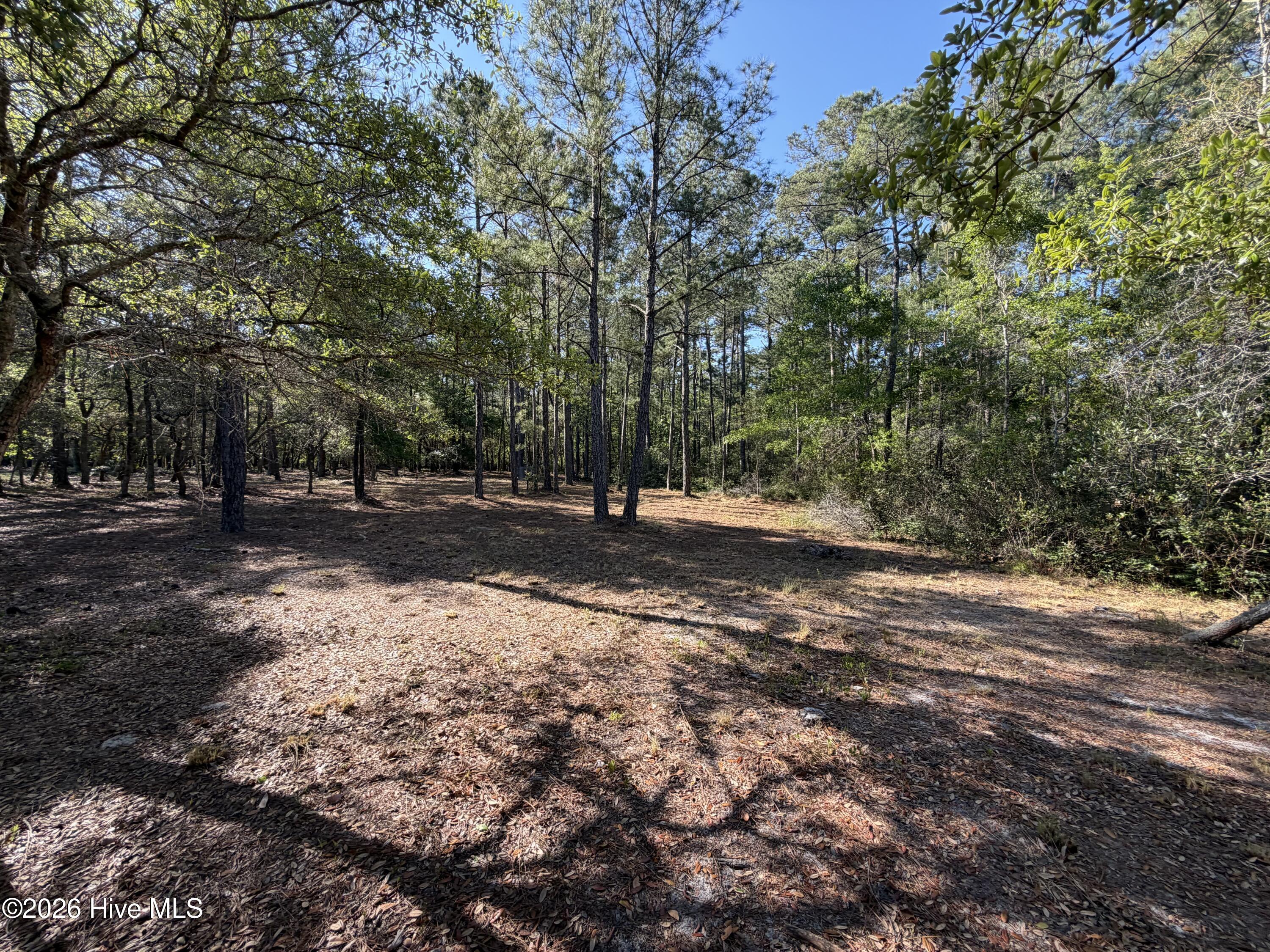 100569974 | Photo 21