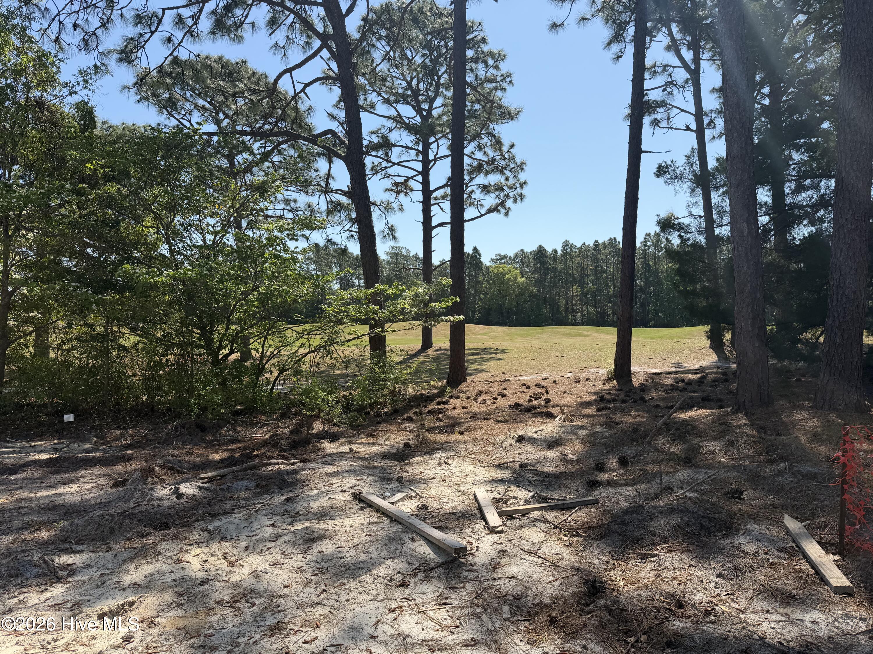 100568393 | Photo 57