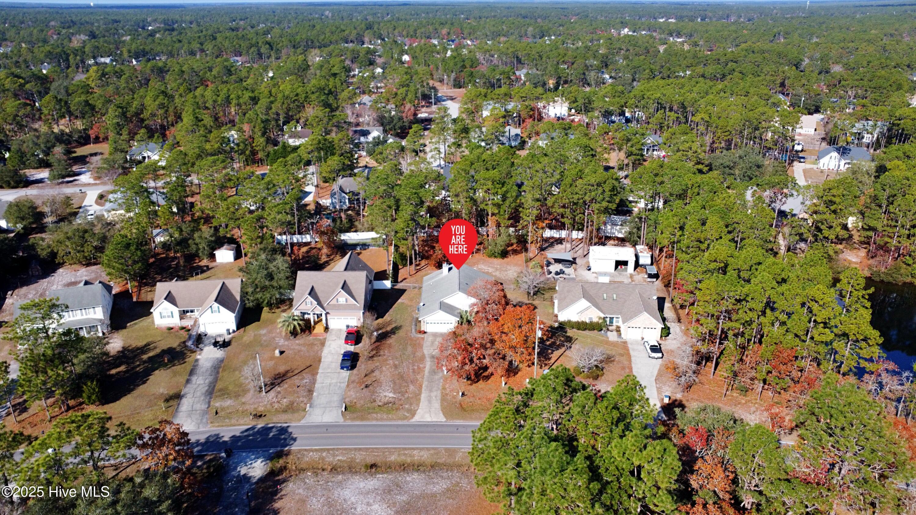 100543603 | Photo 48