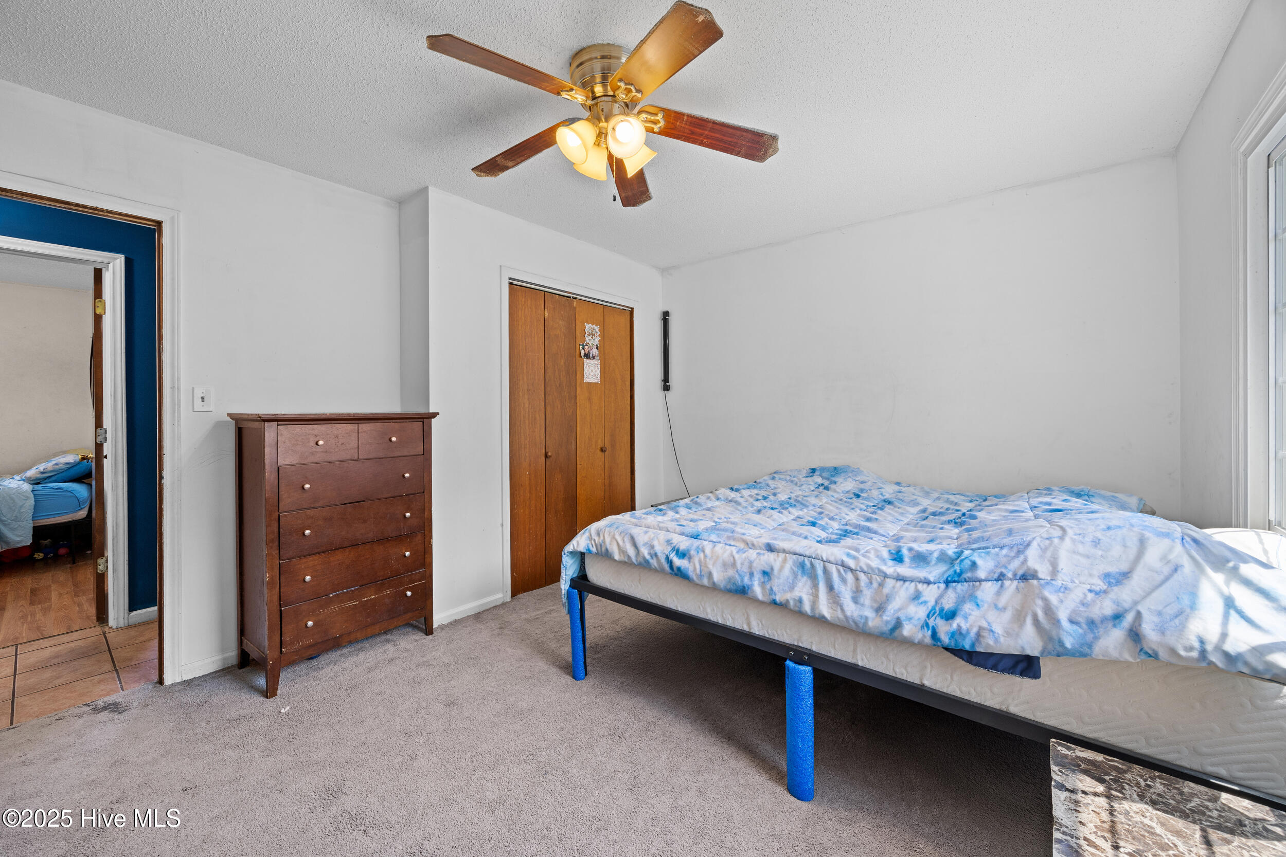 100514281 | Photo 20