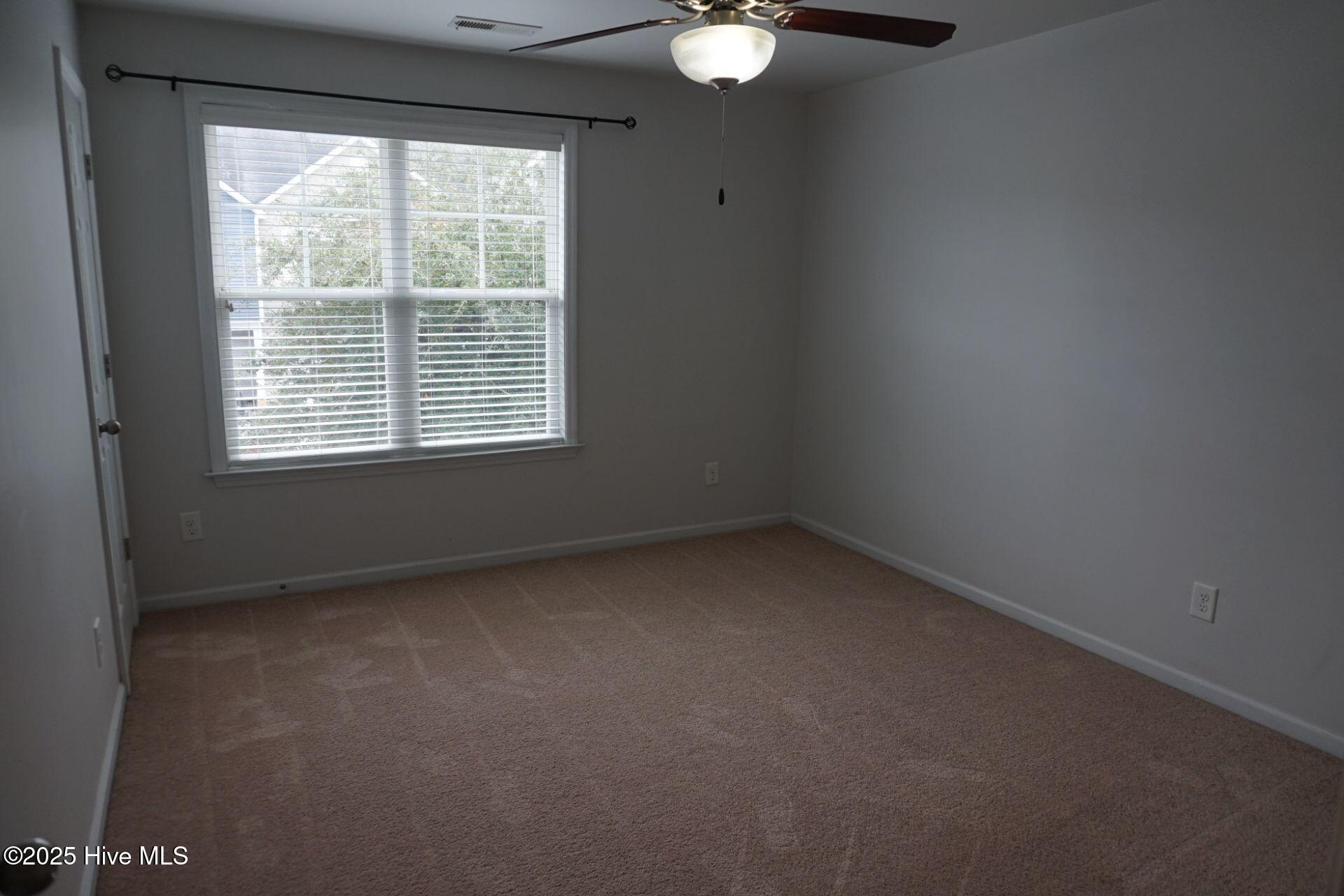 100561095 | Photo 13