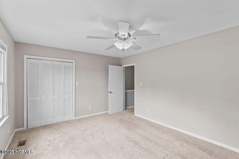 100565233 | Photo 16