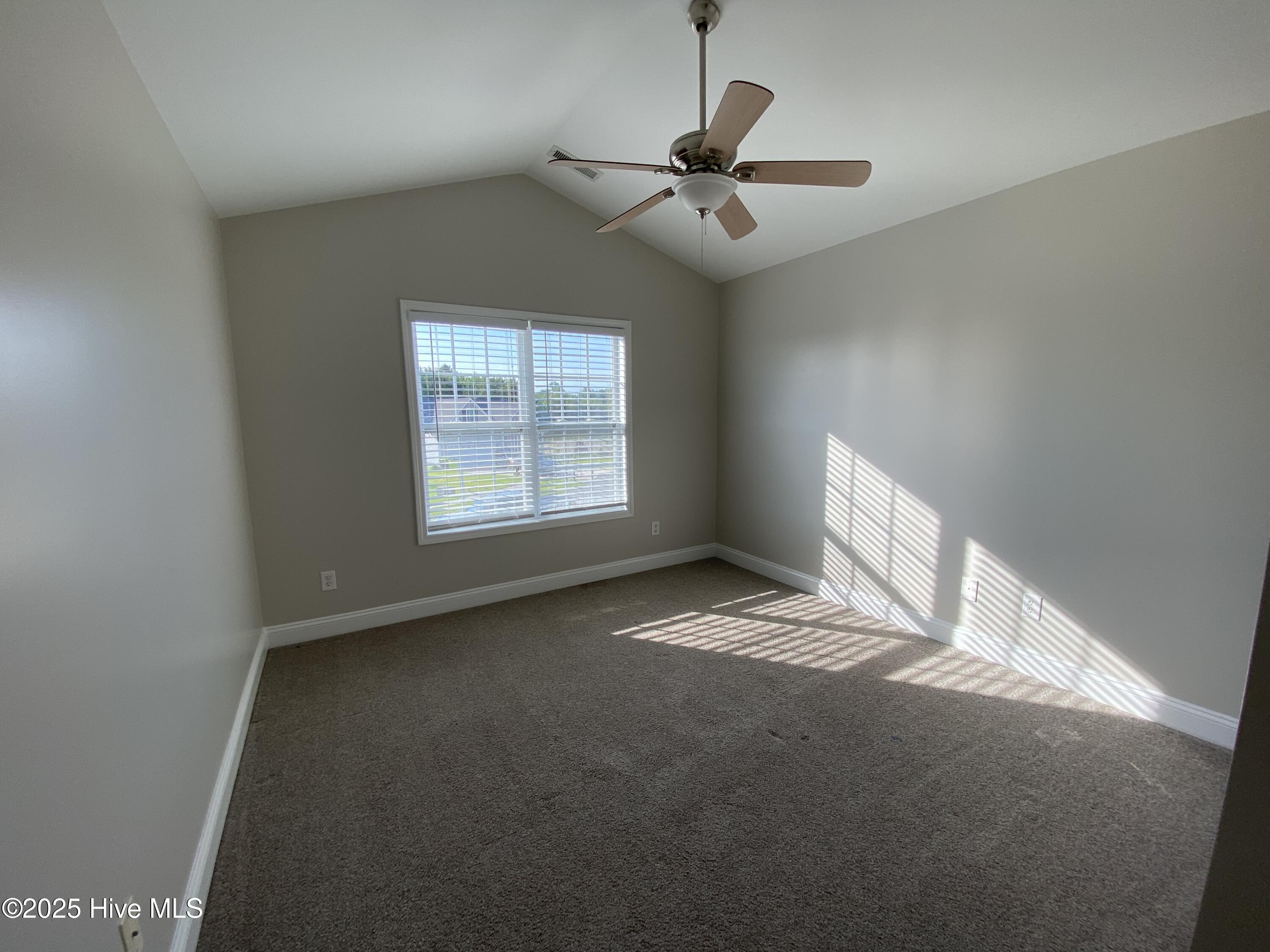 100566817 | Photo 17