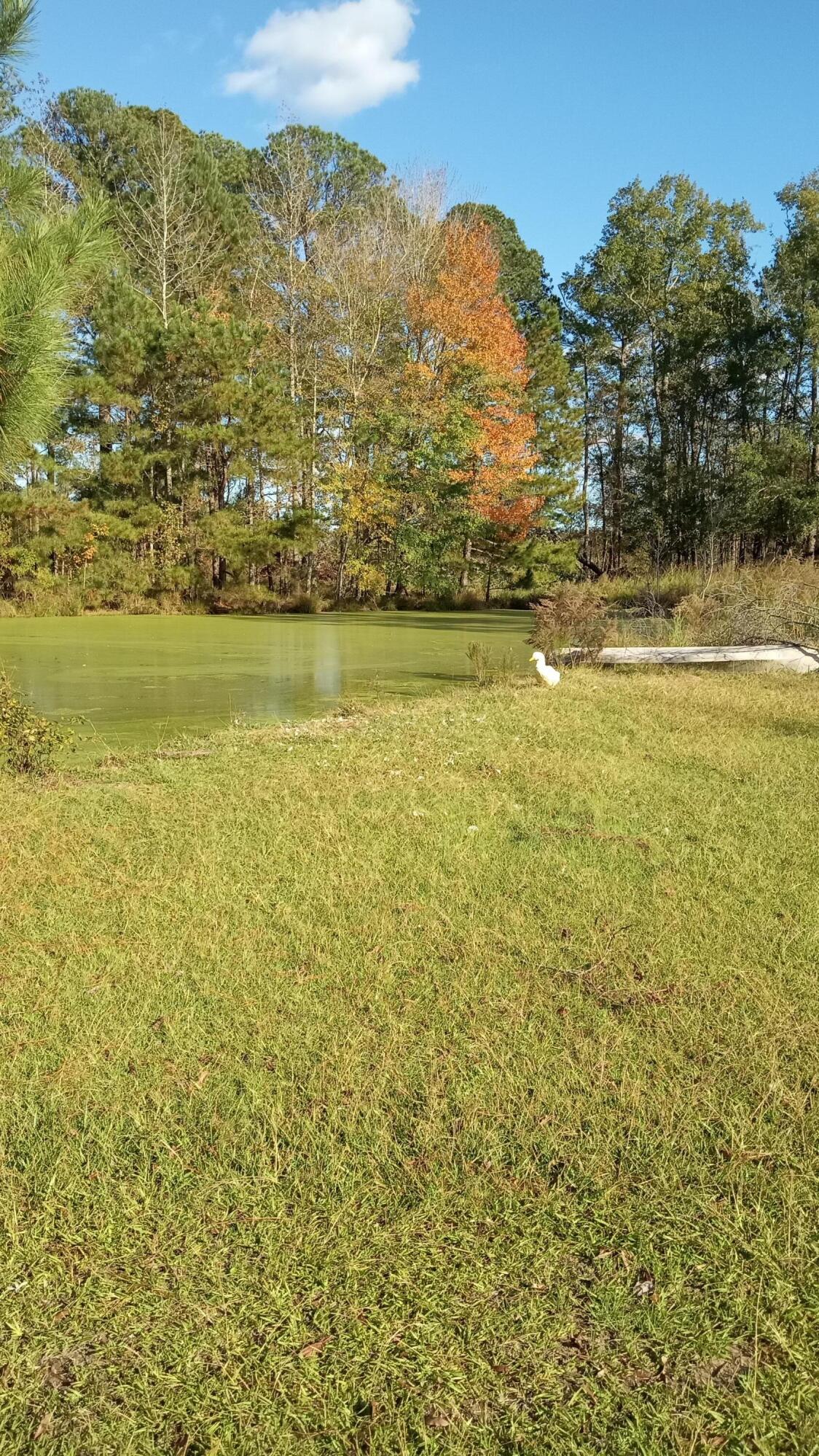 TBD2 SC-23, Edgefield, SC, 29824