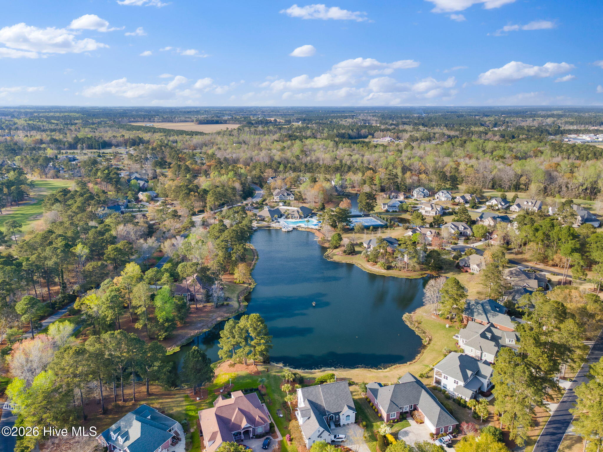 100563065 | Photo 15