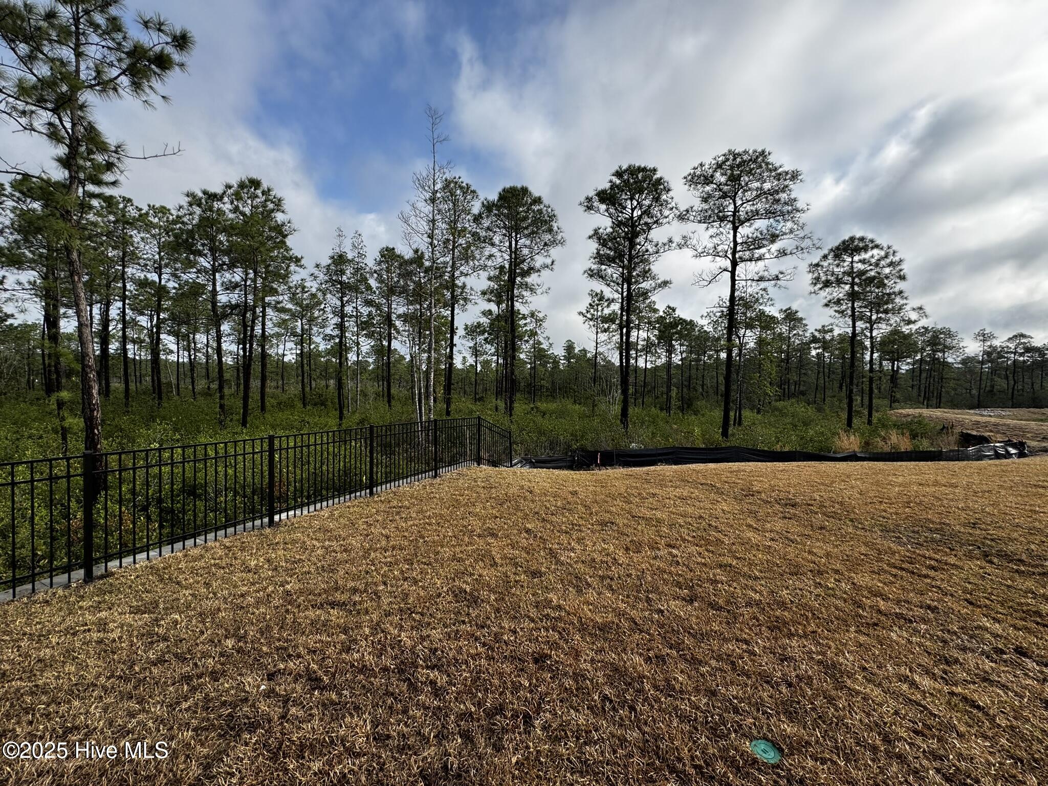 100565961 | Photo 21