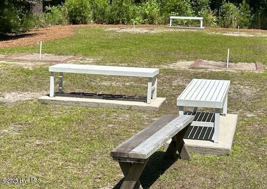 100510884 | Photo 11