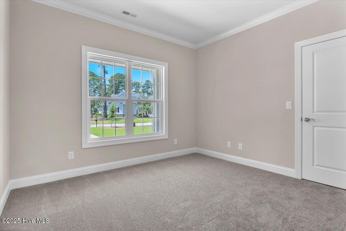 100522992 | Photo 25