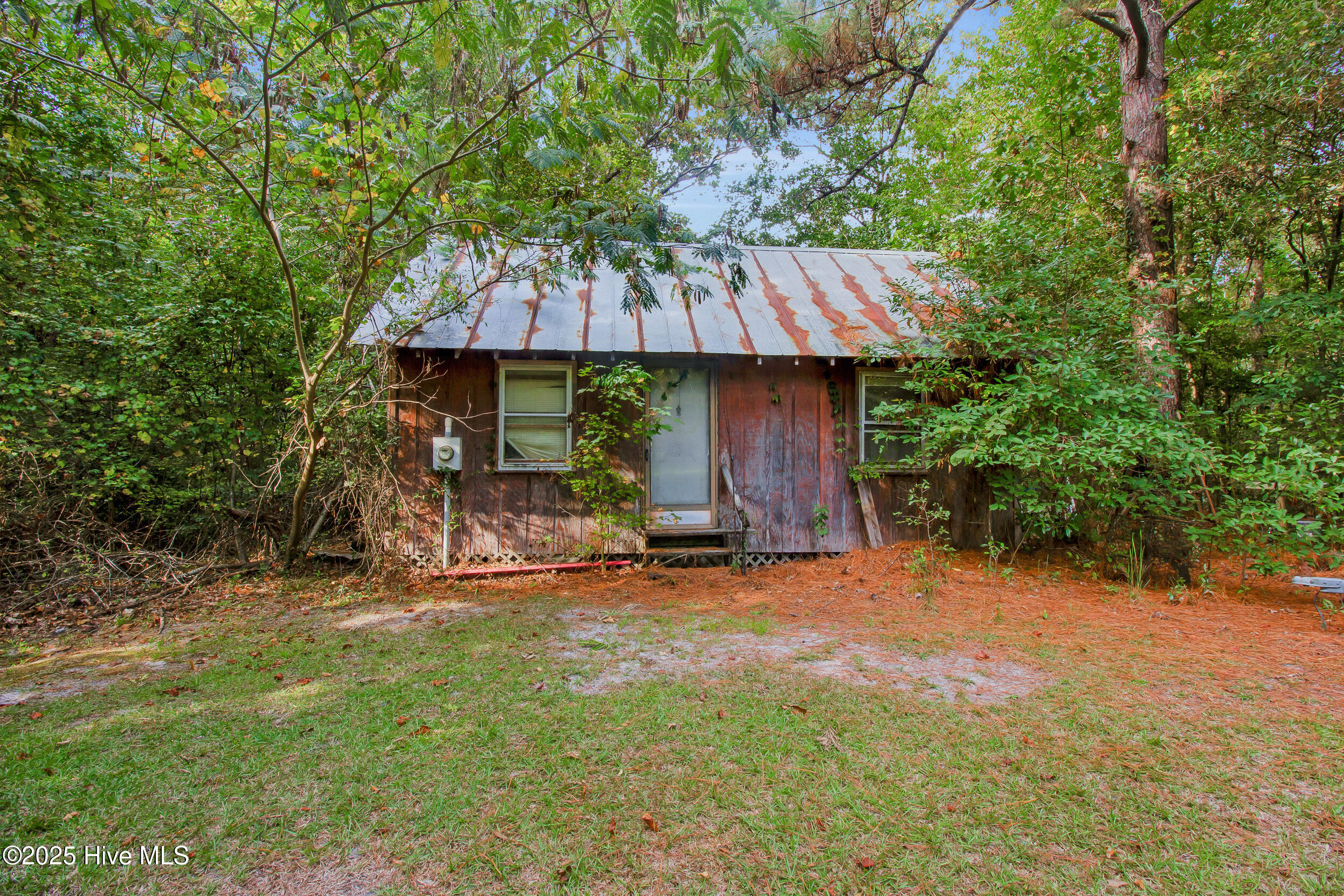 100535721 | Photo 20