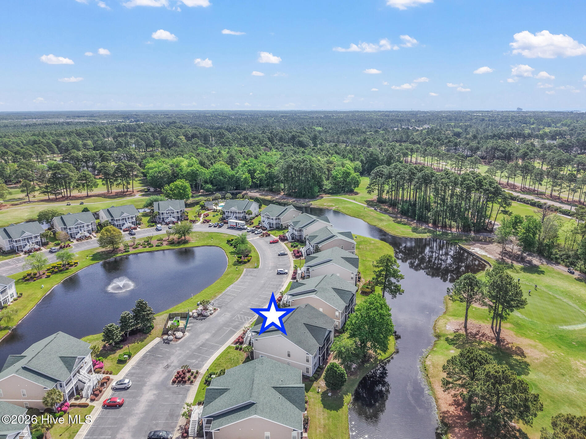 100566917 | Photo 39